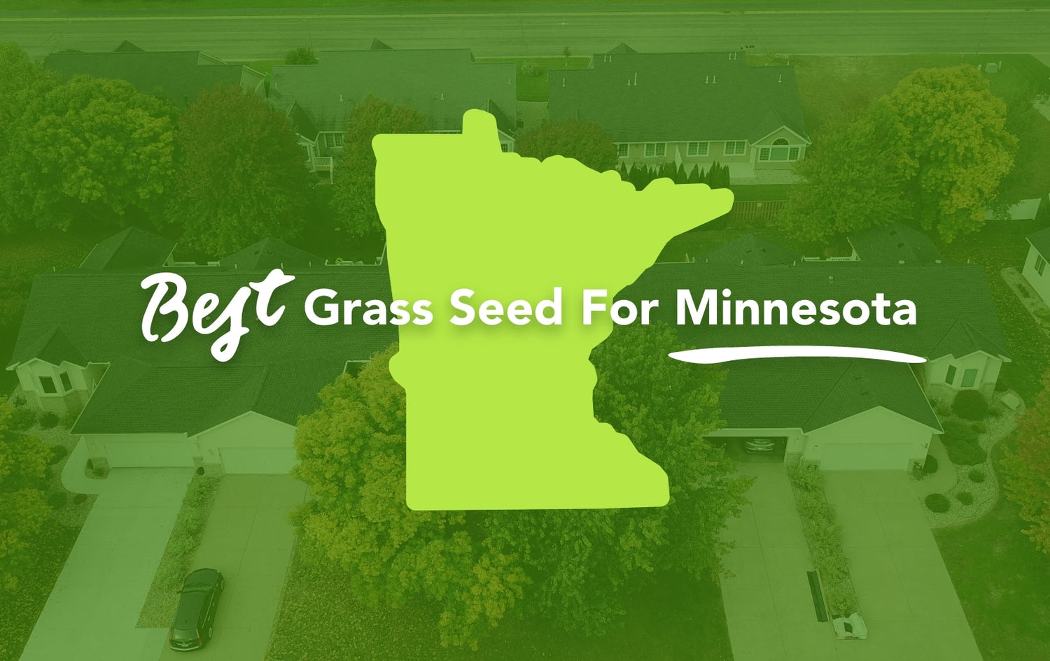 Grass Rolls for Minnesota: The Perfect Solution for Your Lawn