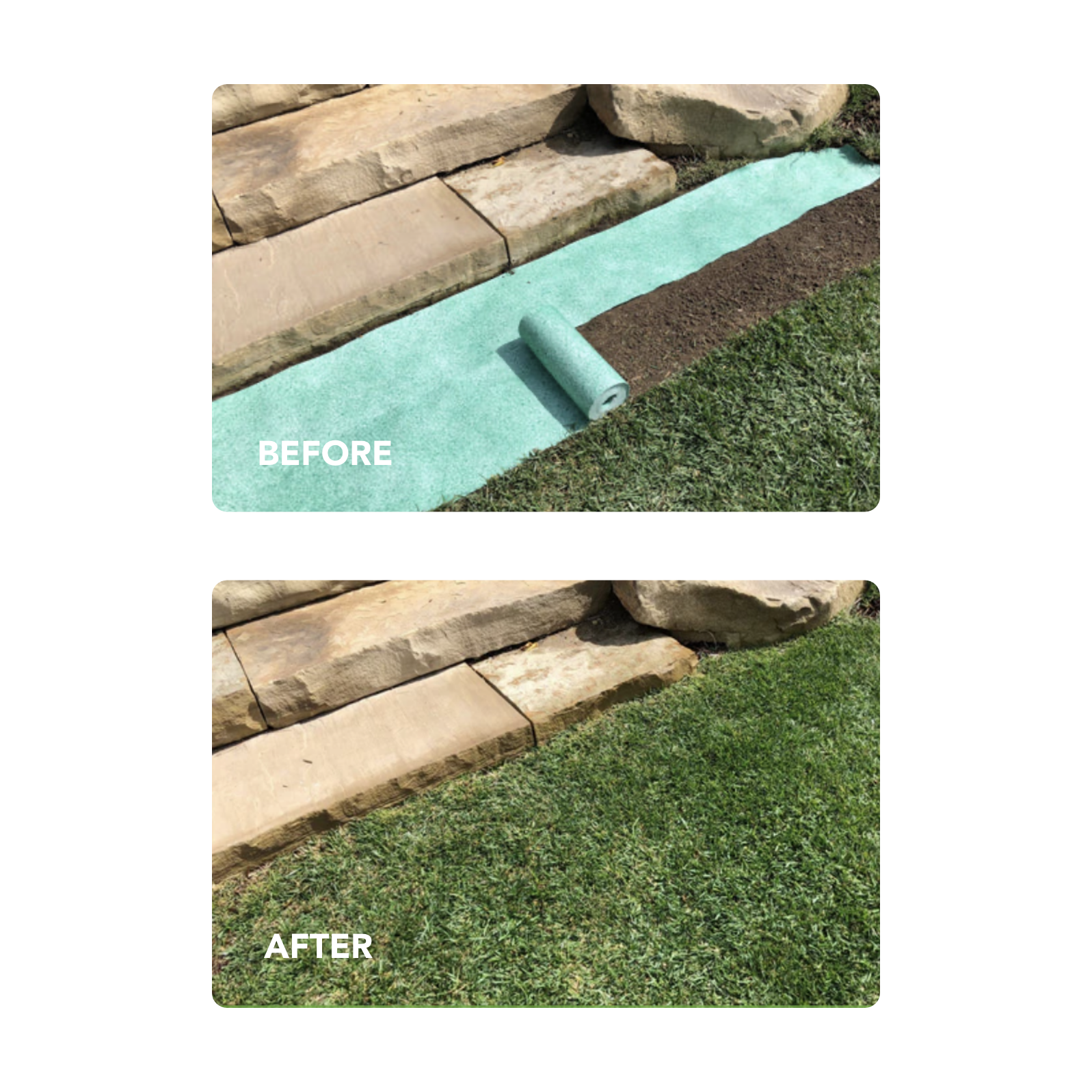 Lawn Repair (50 sq ft roll)