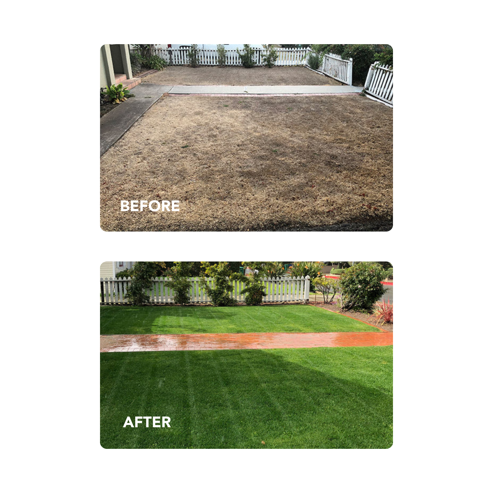 NU-Lawn Roll (200 sq ft roll)