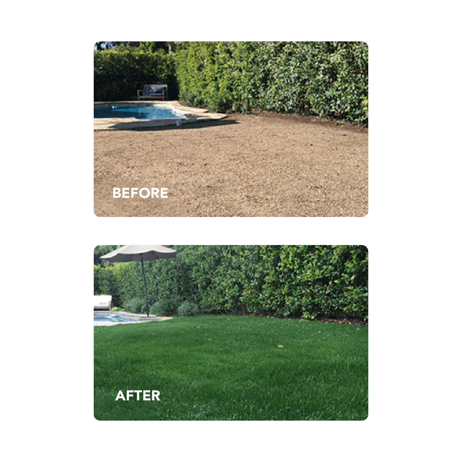 NU-Lawn Roll (200 sq ft roll)