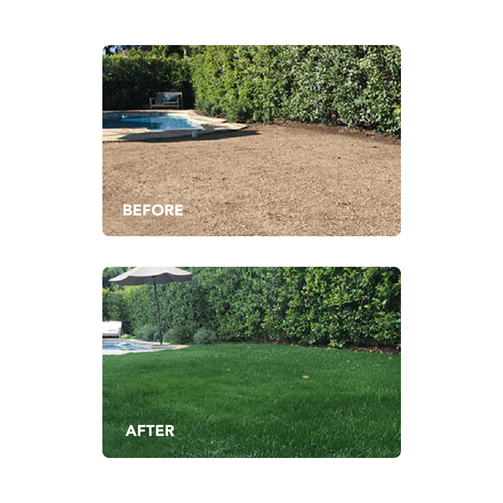 NU-Lawn Roll (200 sq ft roll)