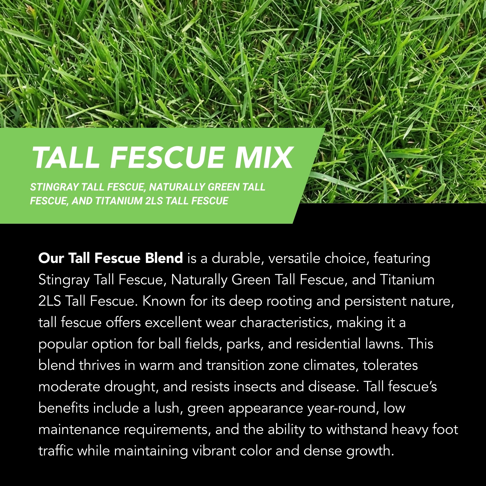 NU-Lawn Roll (200 sq ft roll)