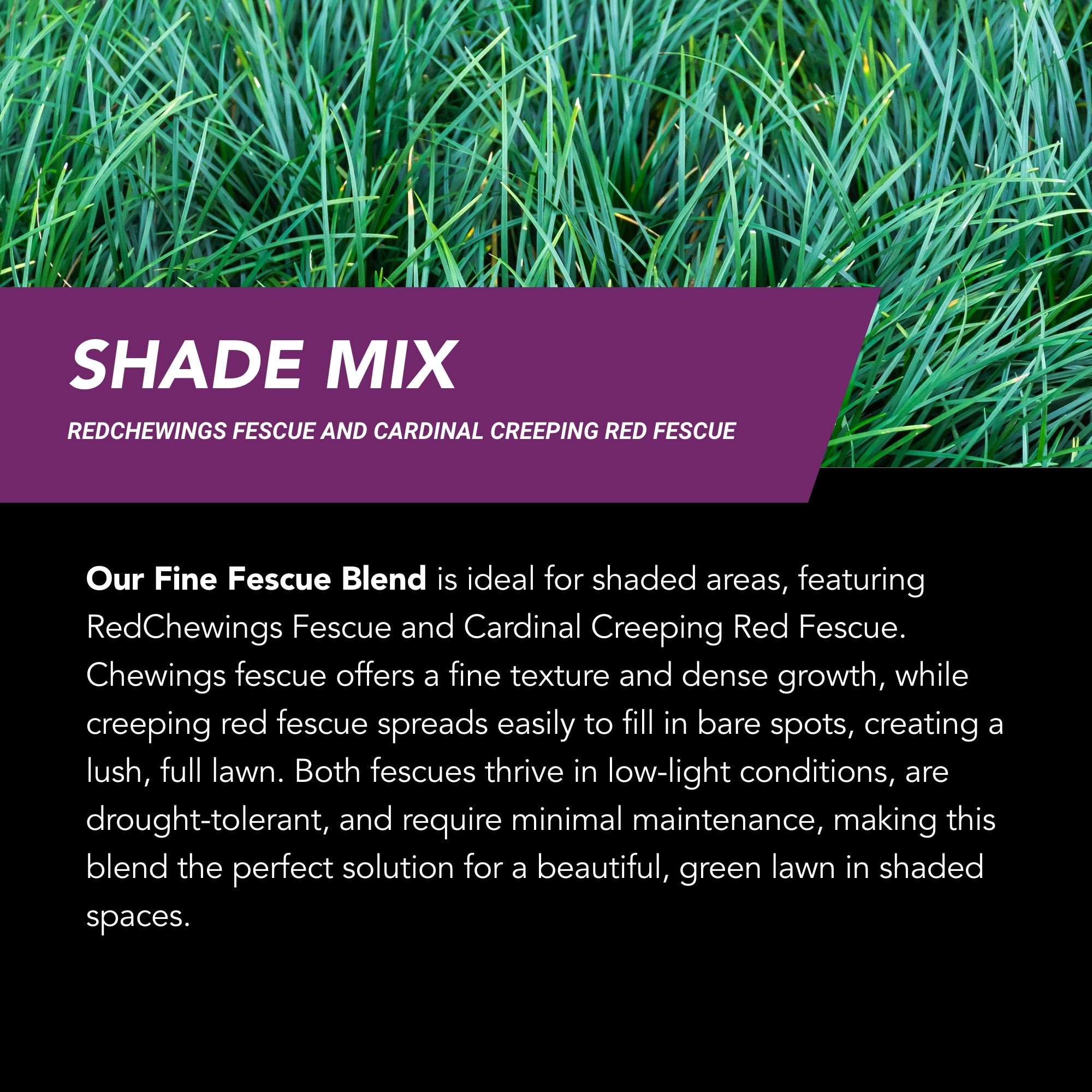 GrowTrax PRO-Lawn Large Area (500 SQFT)