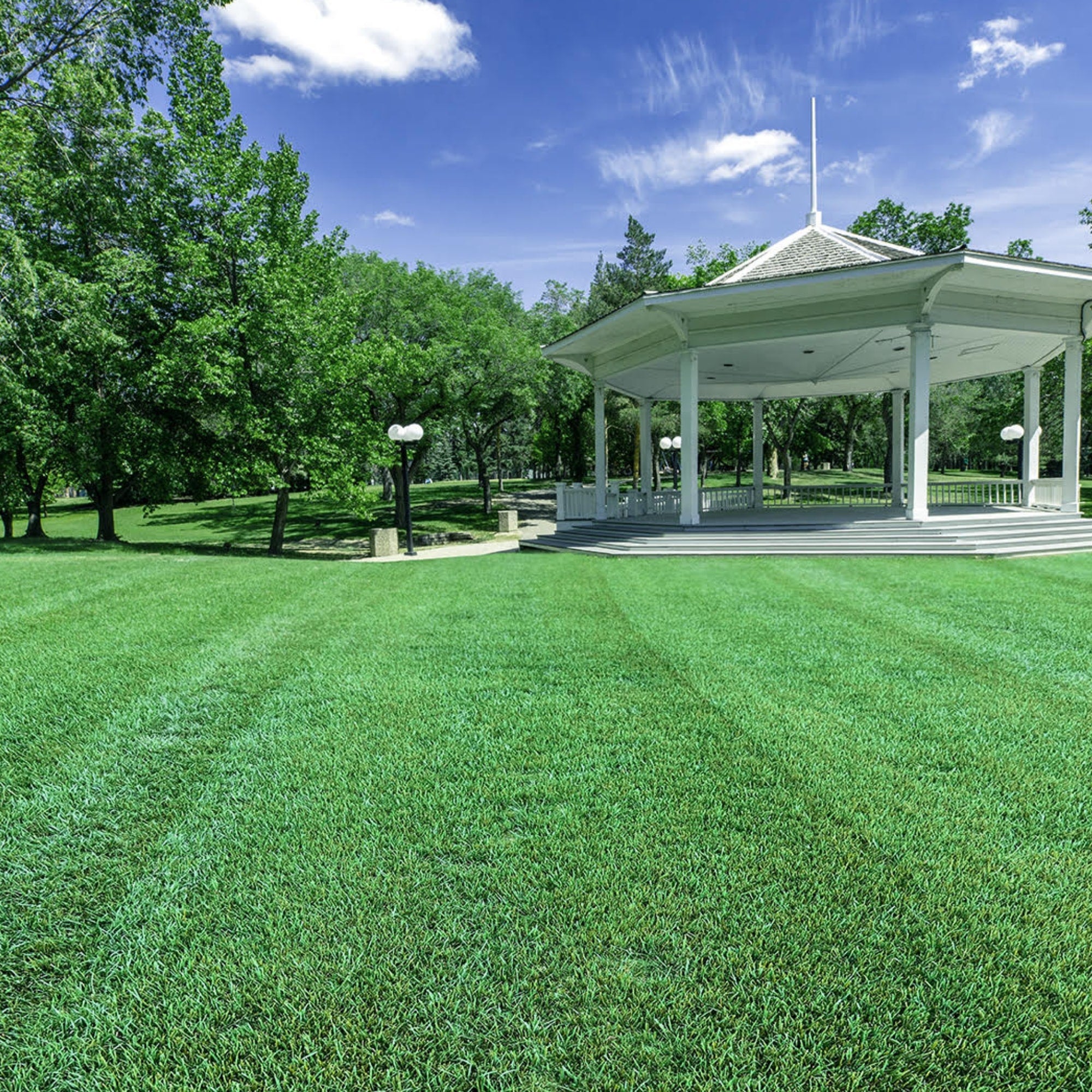 GrowTrax PRO-Lawn Large Area (500 SQFT)