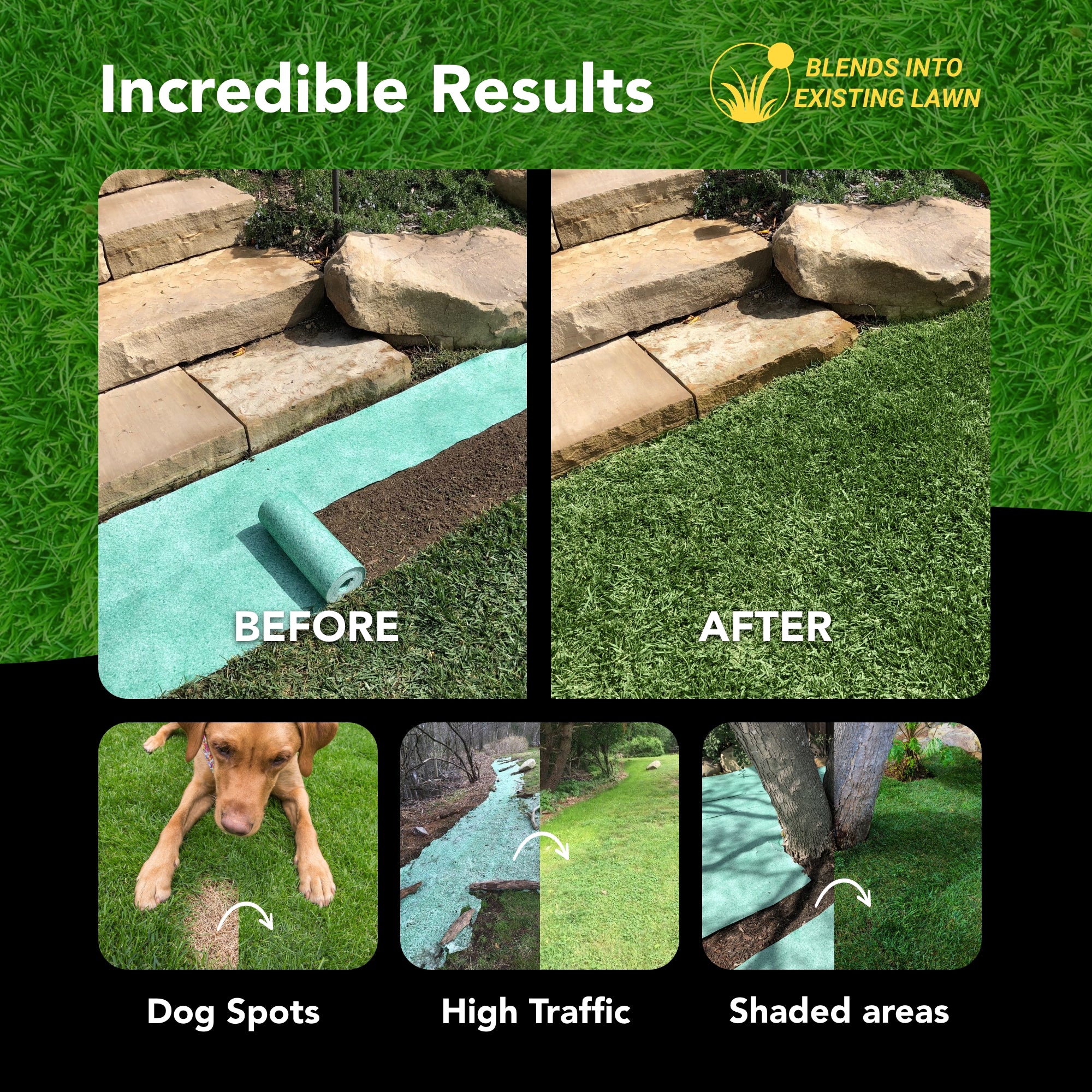 Lawn Repair (50 sq ft roll)