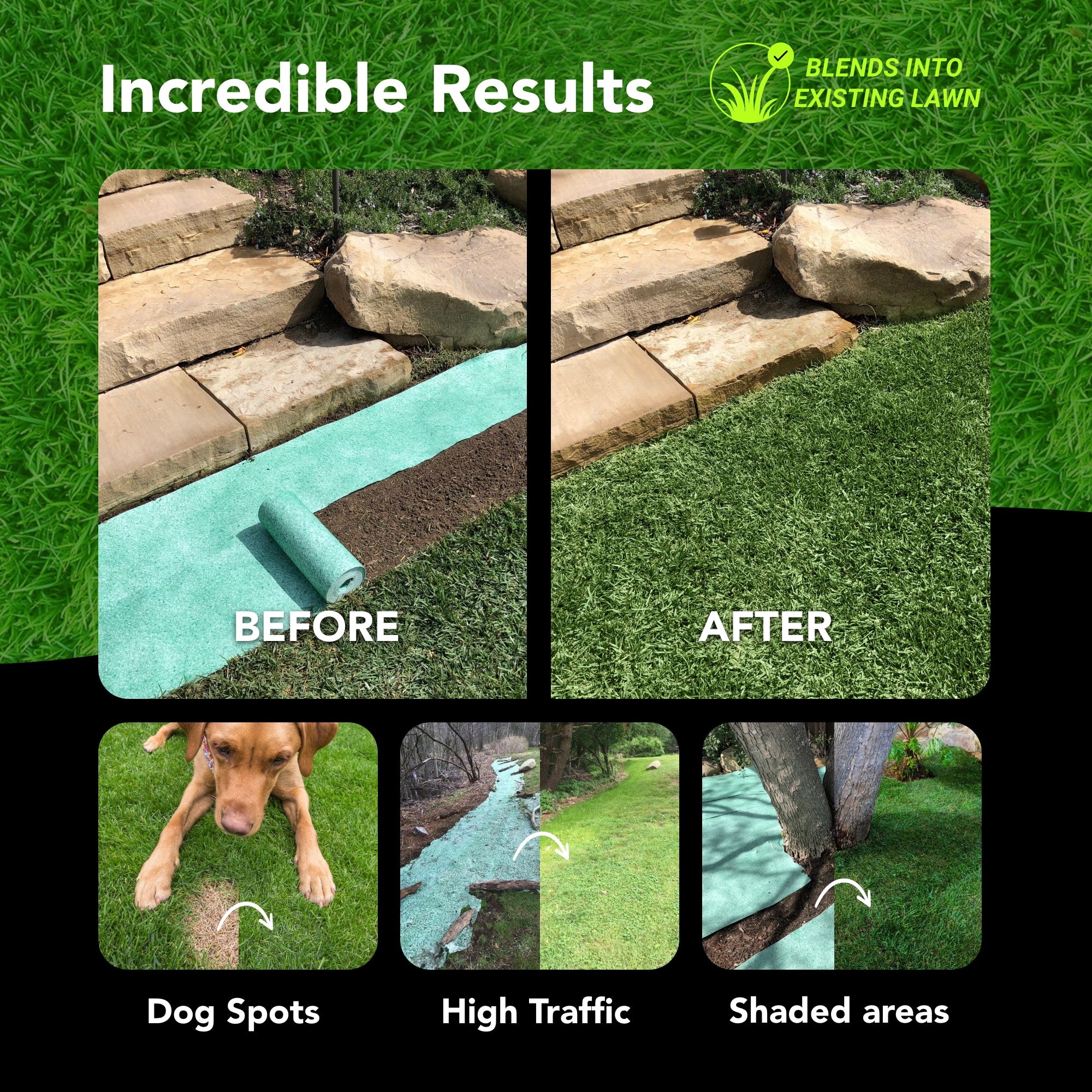 Lawn Repair (50 sq ft roll)