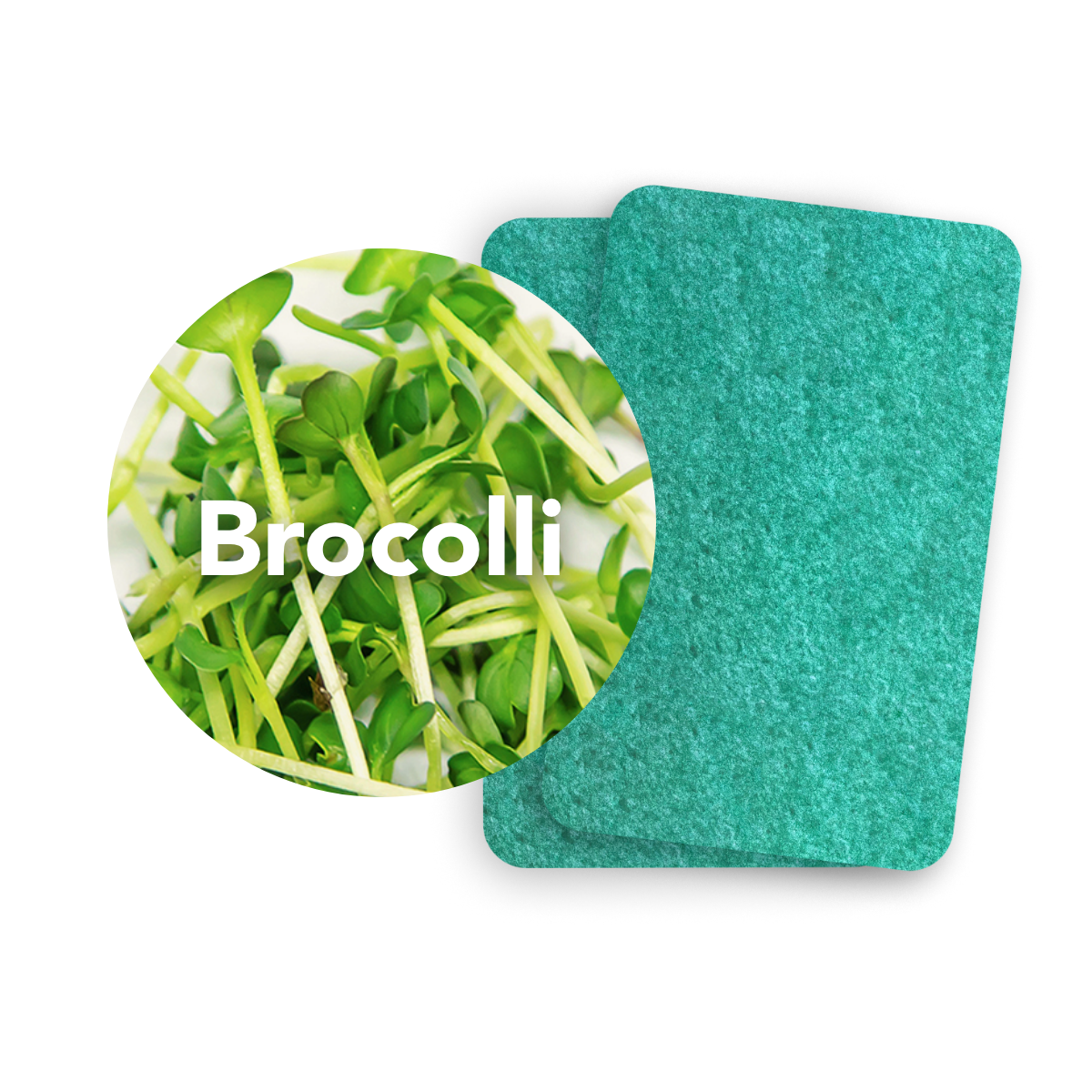 Microgreens Refill ( 2 Sheets )