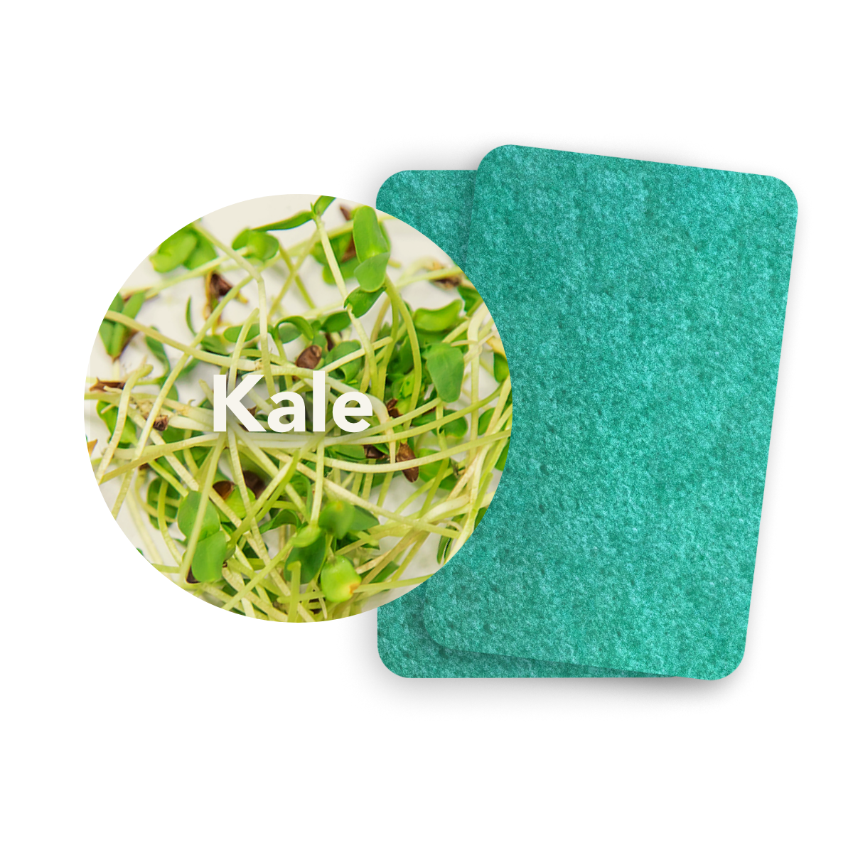 Microgreens Refill ( 2 Sheets )