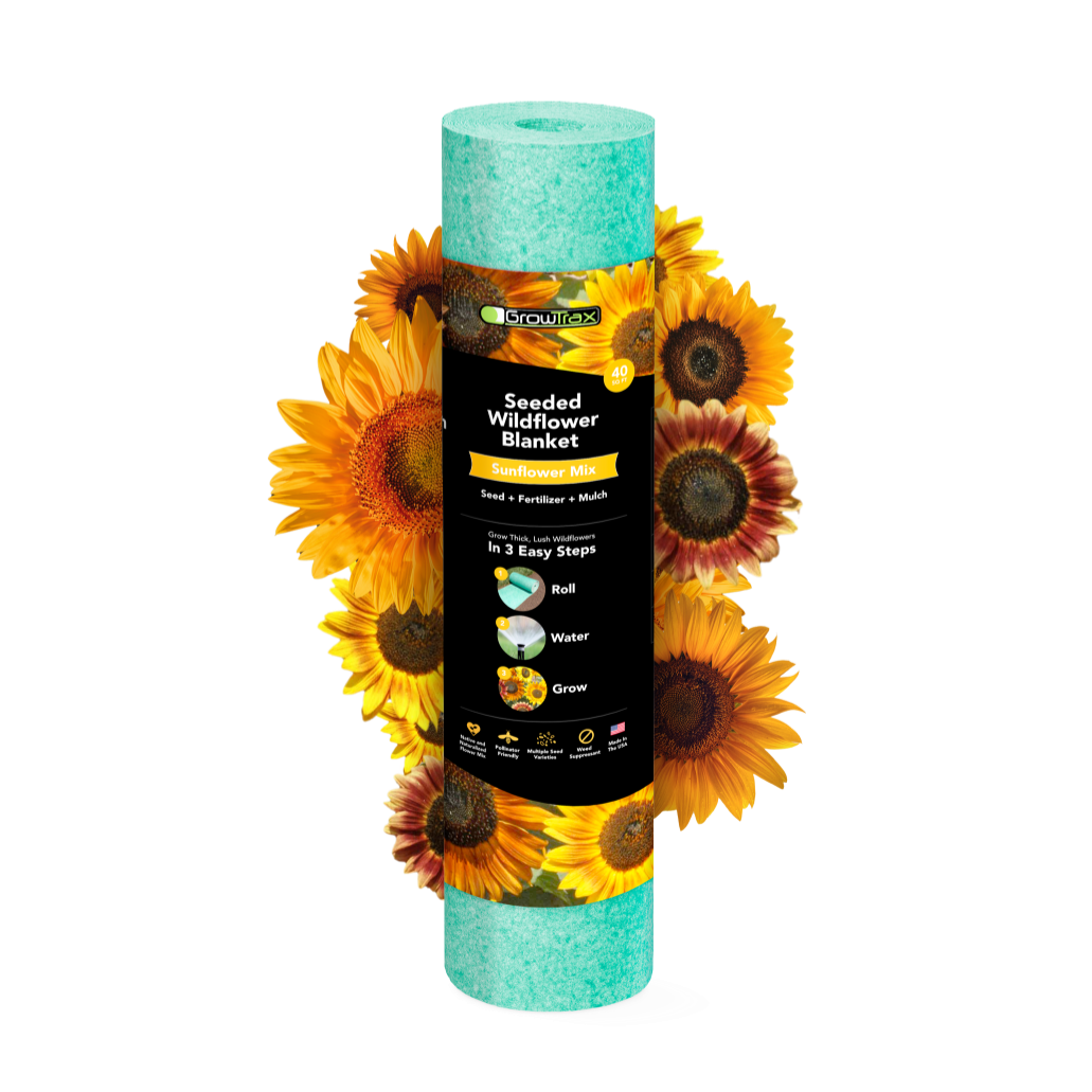 Wildflower seed blanket hotsell