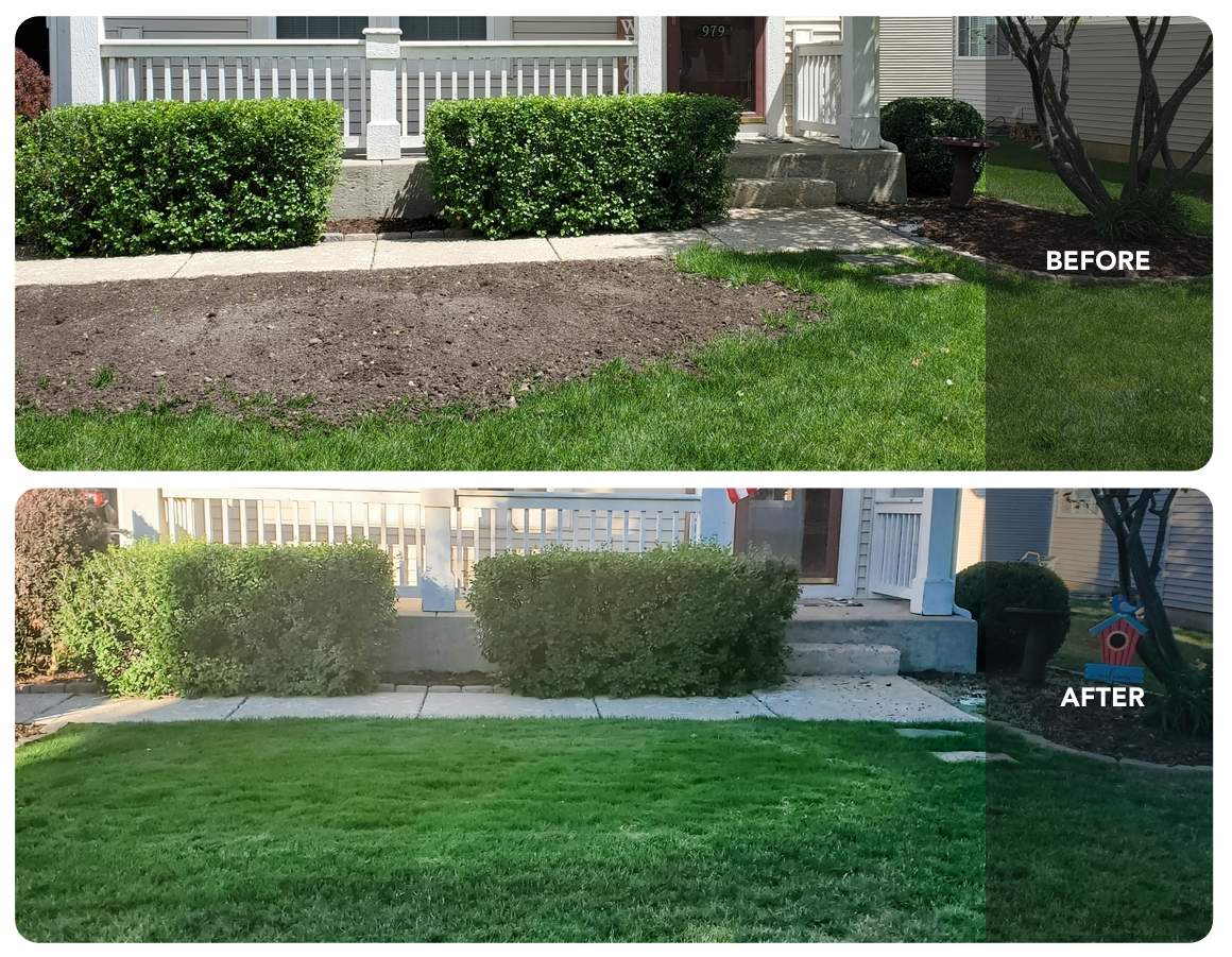 Lawn Repair (50 sq ft roll)