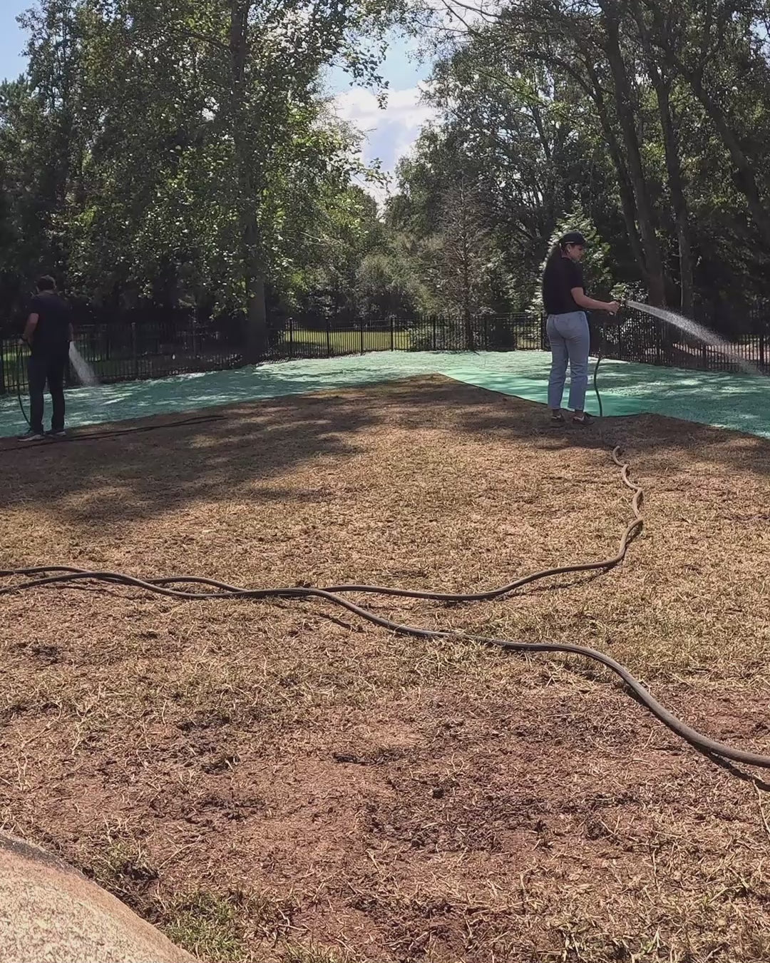 New Lawn (200 sq ft roll)