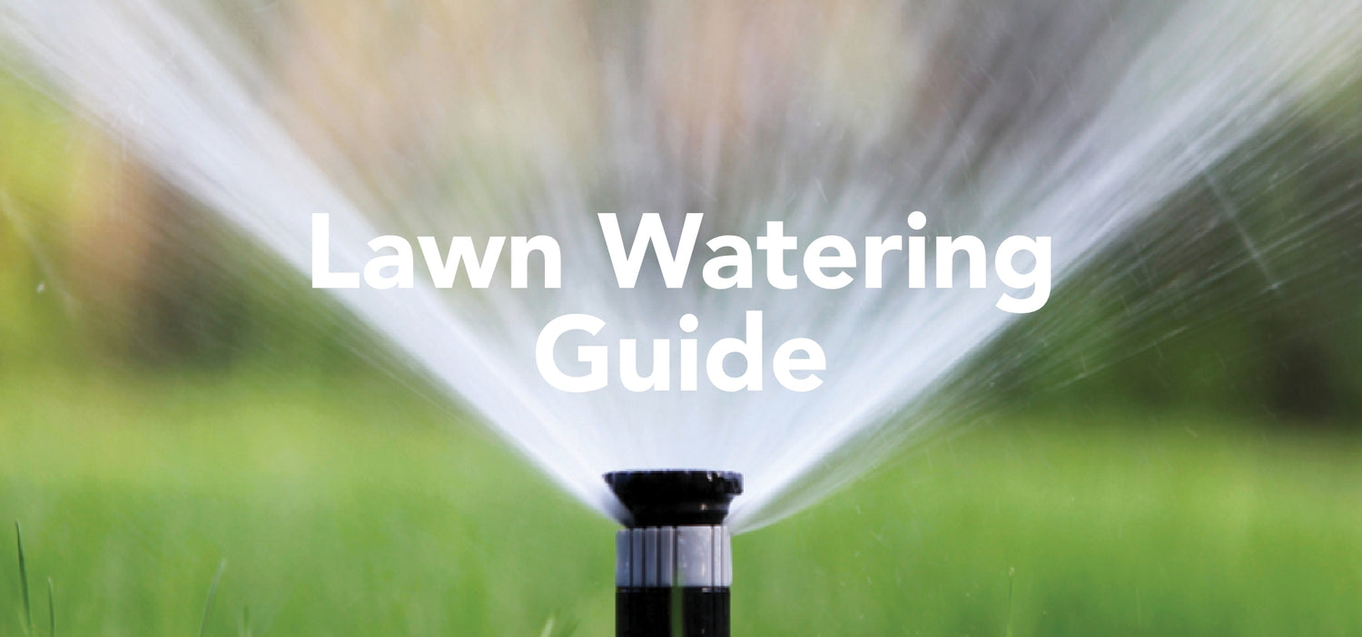 Save Water and Grow Greener: The Essential Lawn Watering Guide