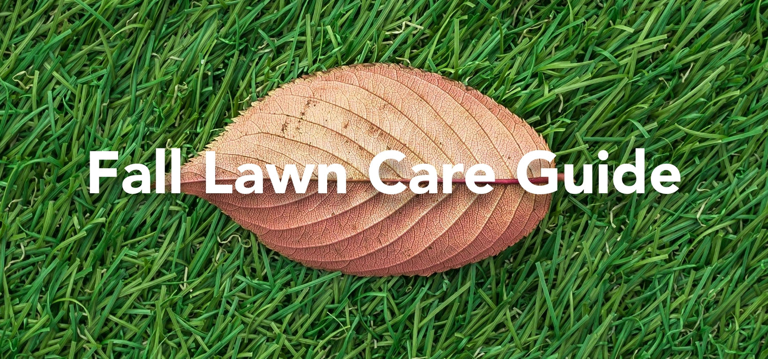 The Essential Fall Lawn Care Guide