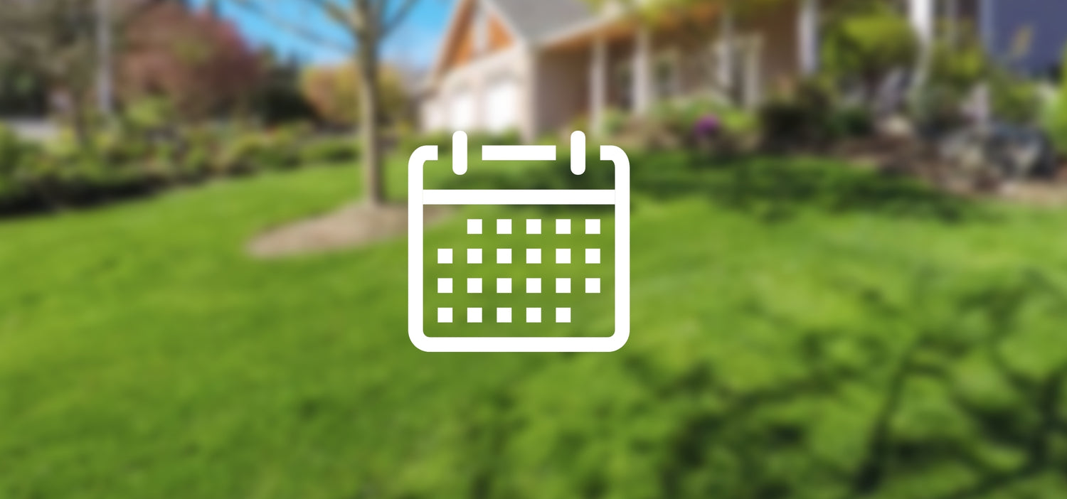 When to Plant Grass Seed: A Seasonal Guide for Optimal Growth