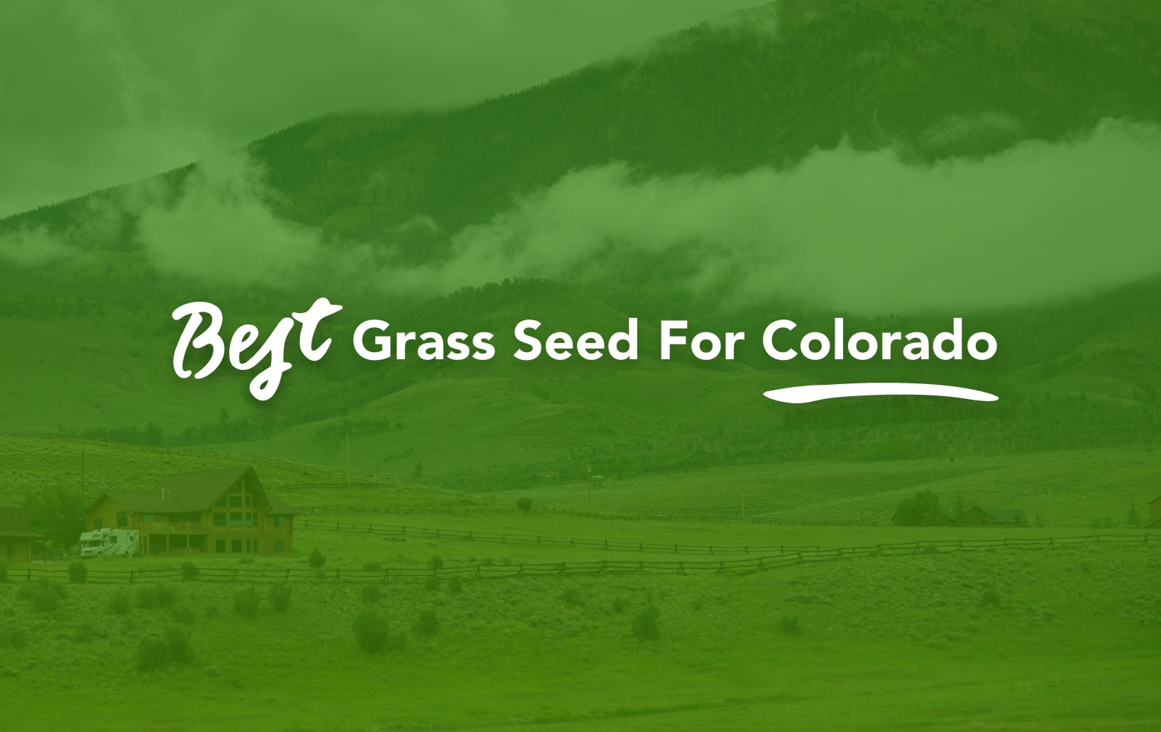 Grass Rolls for Colorado: The Best Solution for Your Lawn