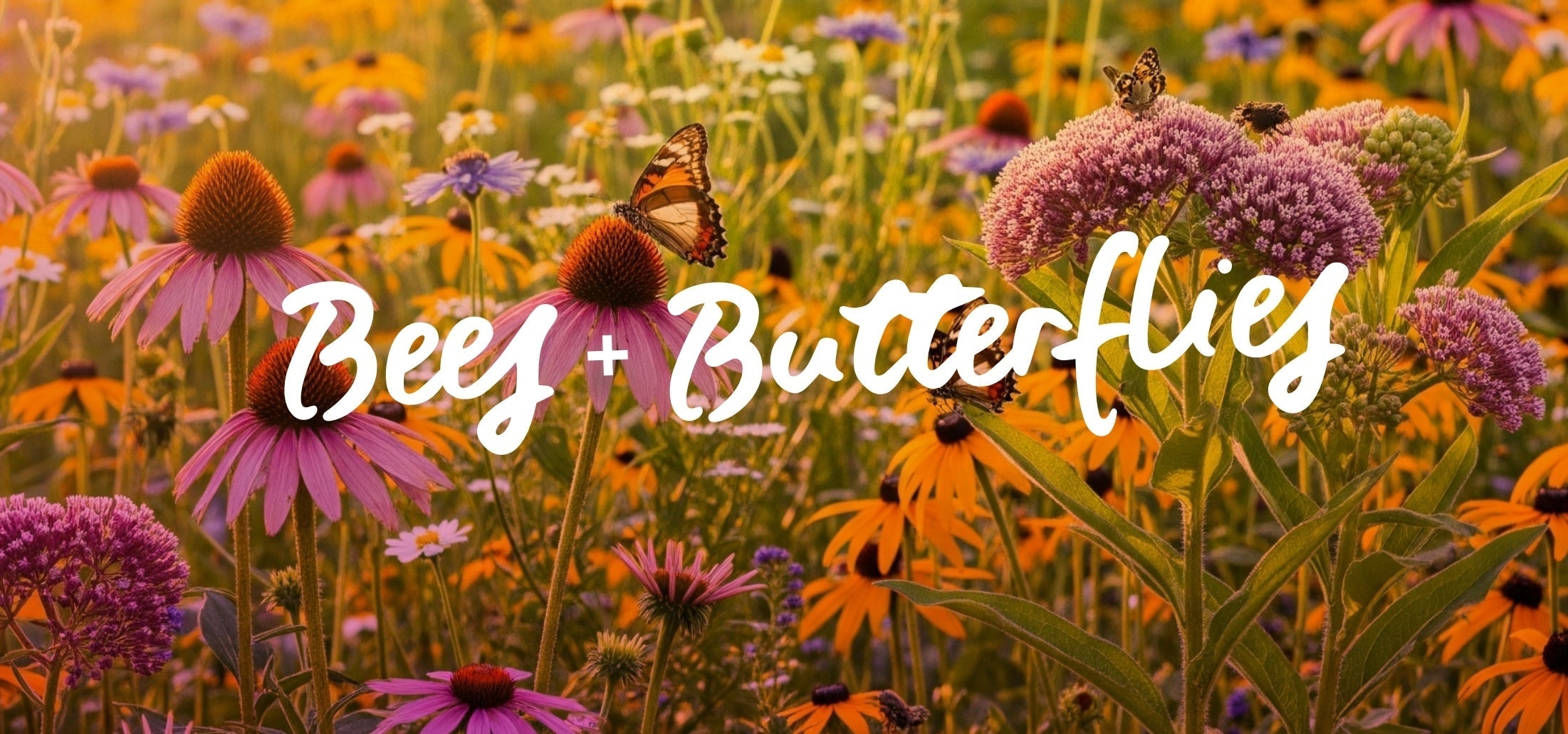 Flowers That Attract Butterflies, Humming Birds, and Bees