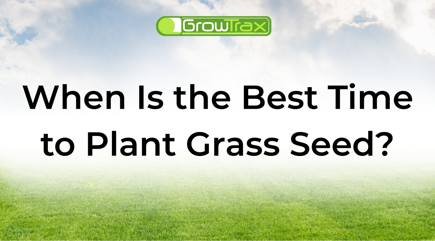 When Is the Best Time to Plant Grass Seed? A Seasonal Guide by Region
