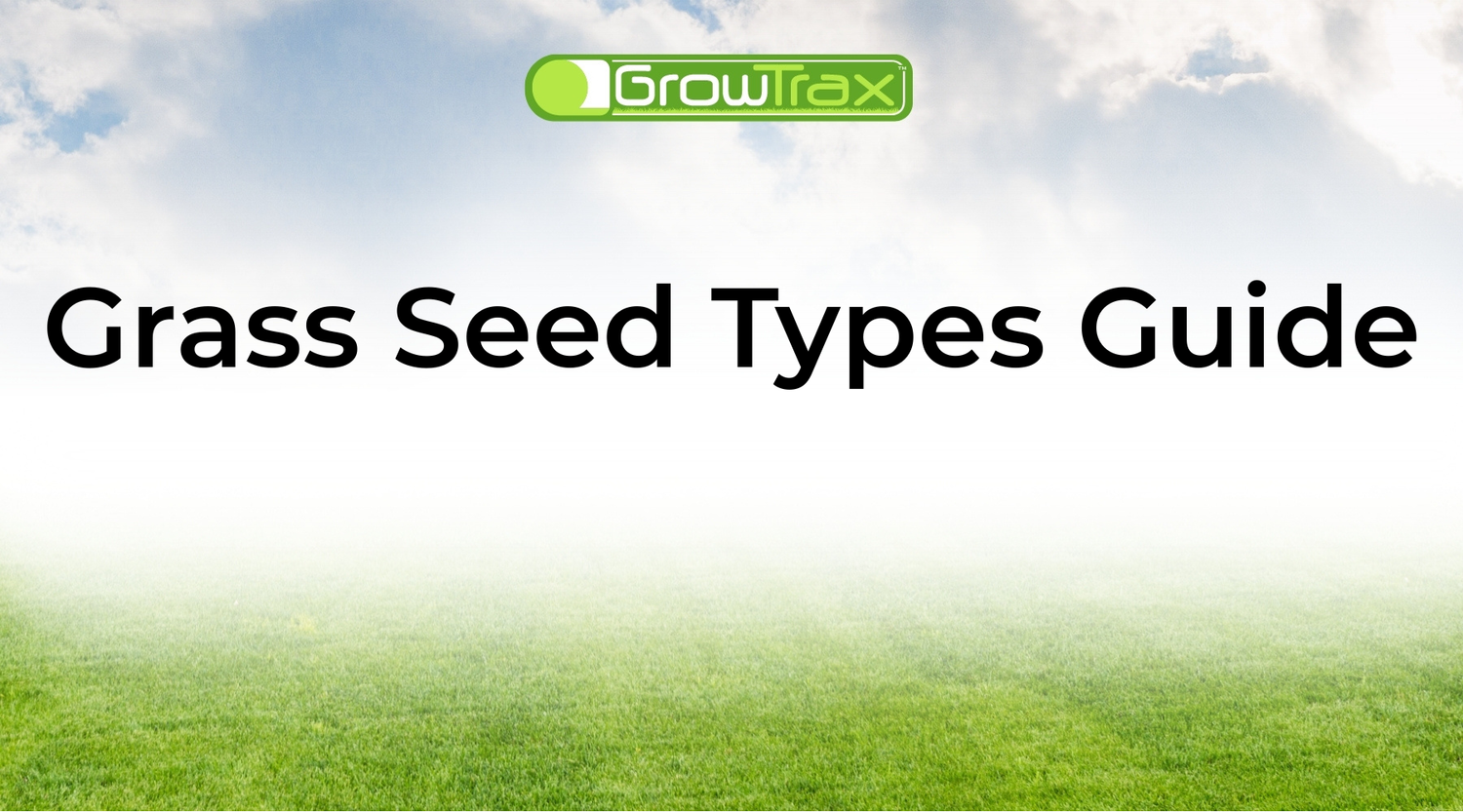 Grass Seed Types Guide: Find the Best Grass for Sun, Shade, and Climate