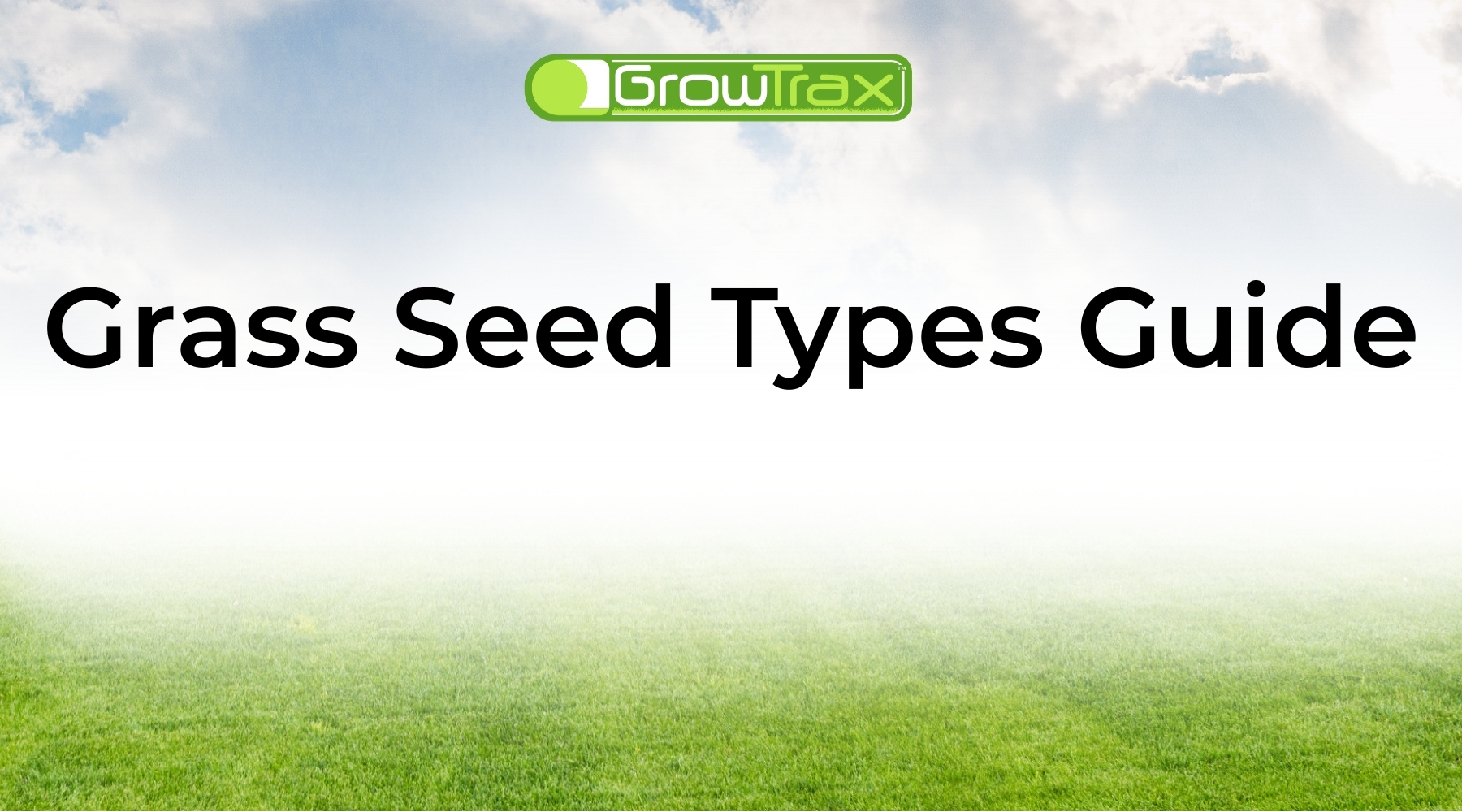 Grass Seed Types Guide: Find the Best Grass for Sun, Shade, and Climate