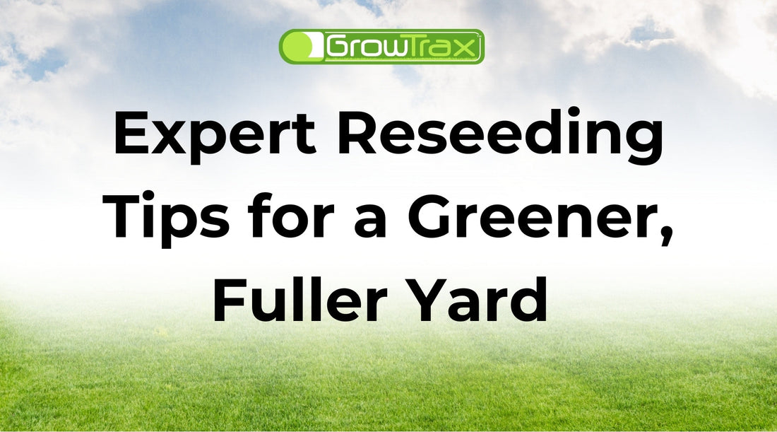 Reseeding Lawn | Expert Reseeding Tips for a Greener, Fuller Yard ...