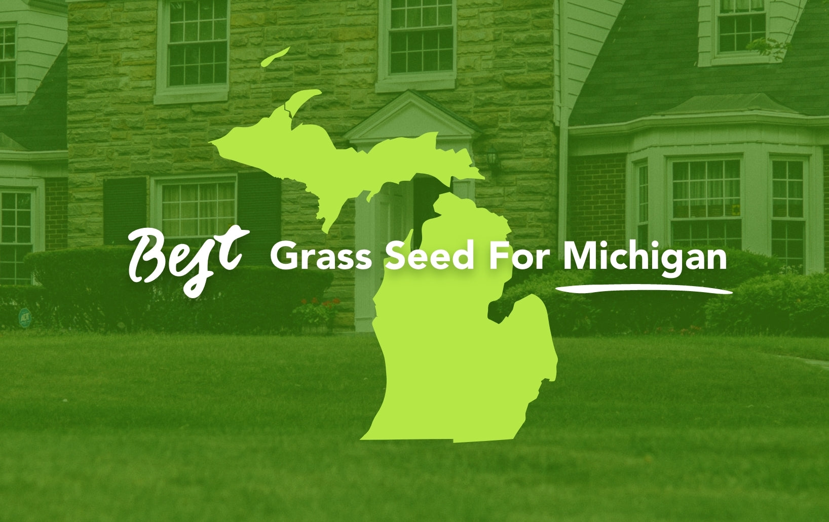 Grass Seeds for Michigan: The Best Choice for Your Lawn