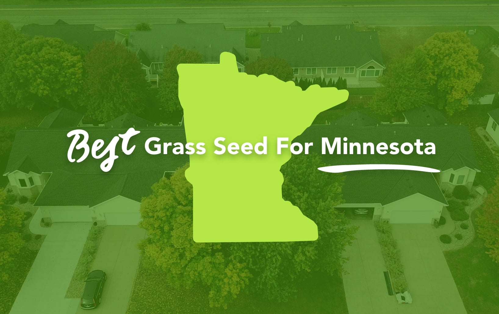 Grass Rolls for Minnesota: The Perfect Solution for Your Lawn