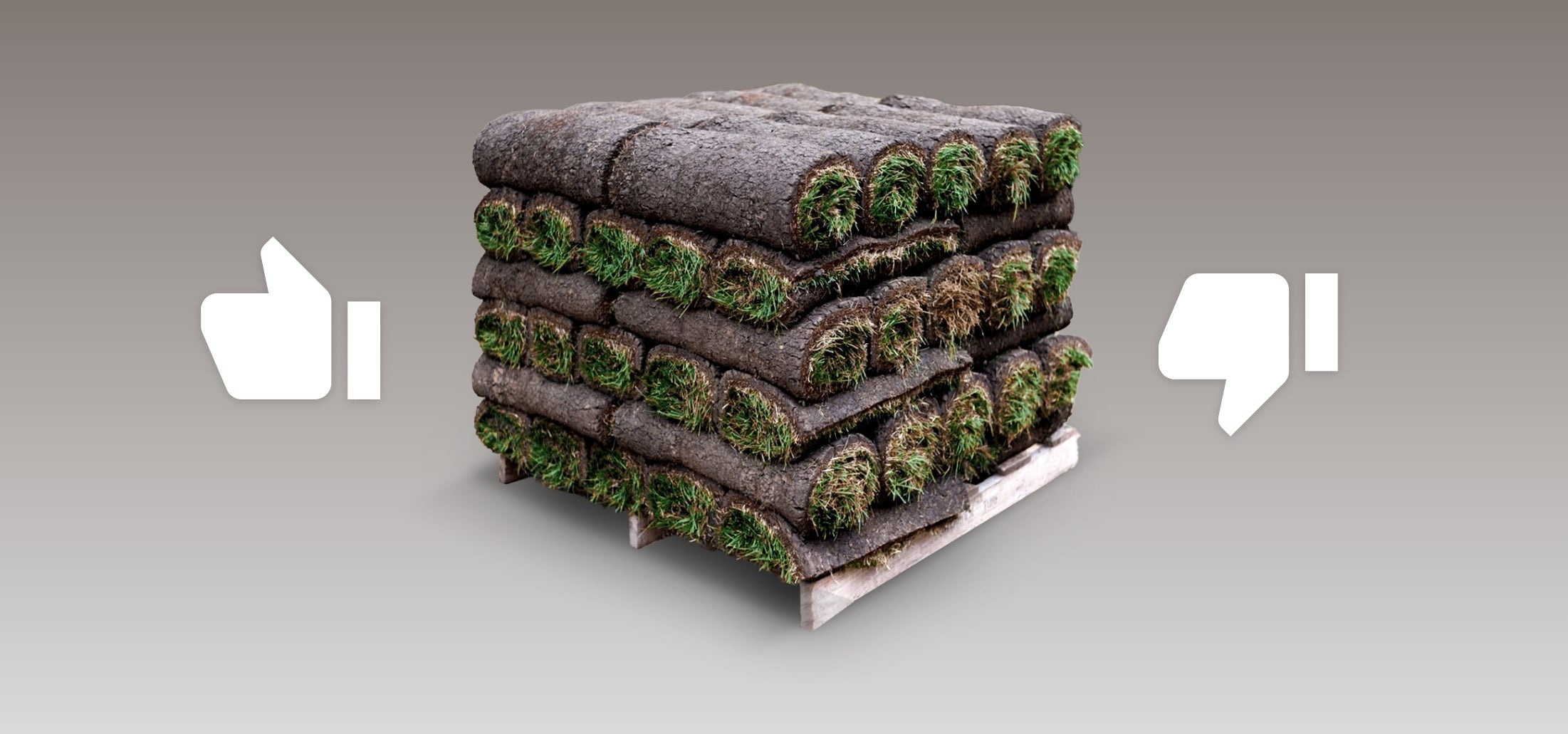Pros and Cons of Sod