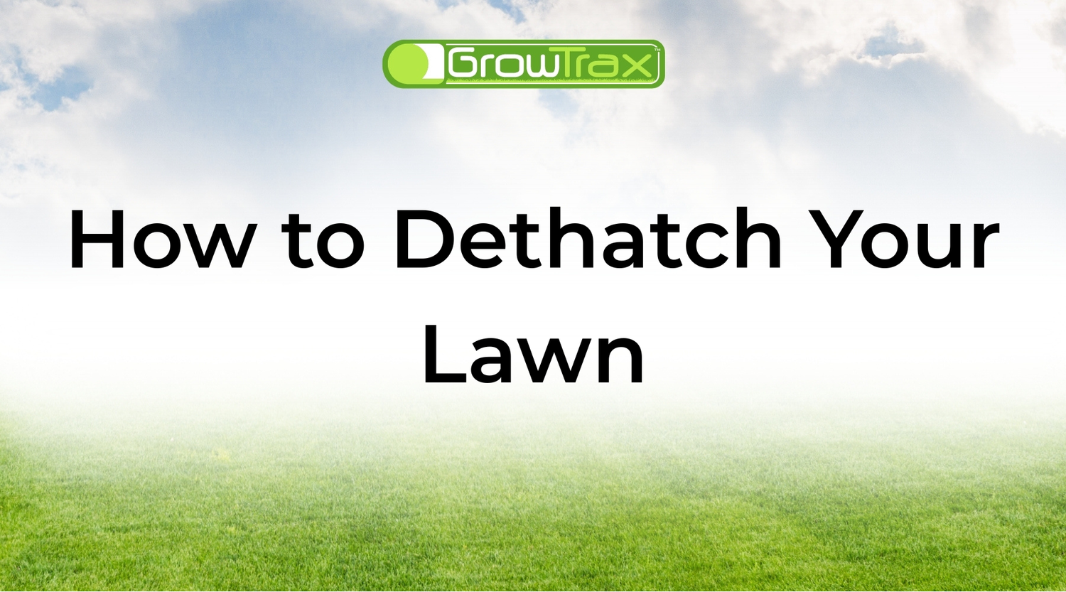 How to Dethatch Your Lawn and Help It Grow Back Thicker