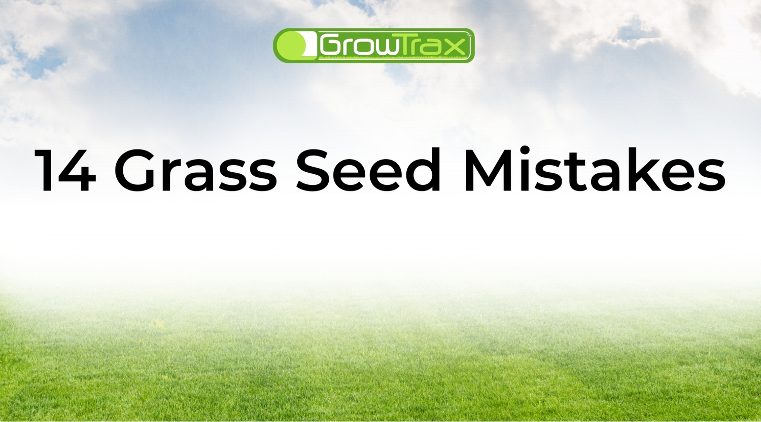 14 Grass Seed Mistakes That Keep Your Lawn From Growing