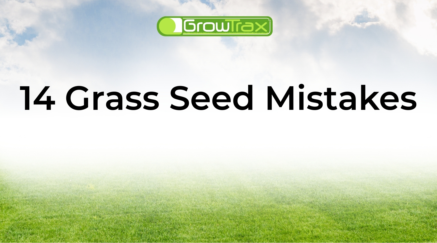 14 Grass Seed Mistakes That Keep Your Lawn From Growing