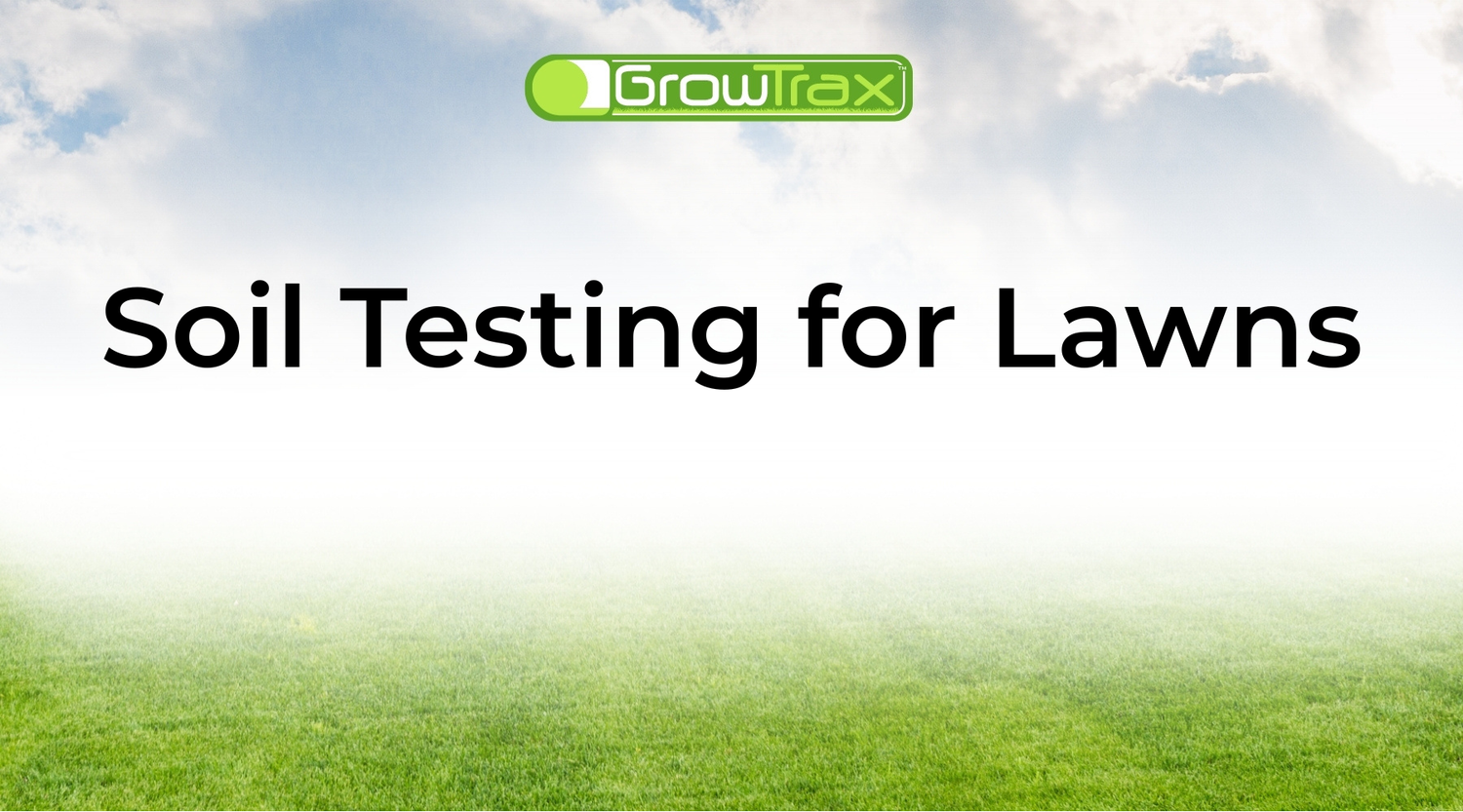 Soil Testing for Lawns: How to Test Soil pH and Grow Healthier Grass