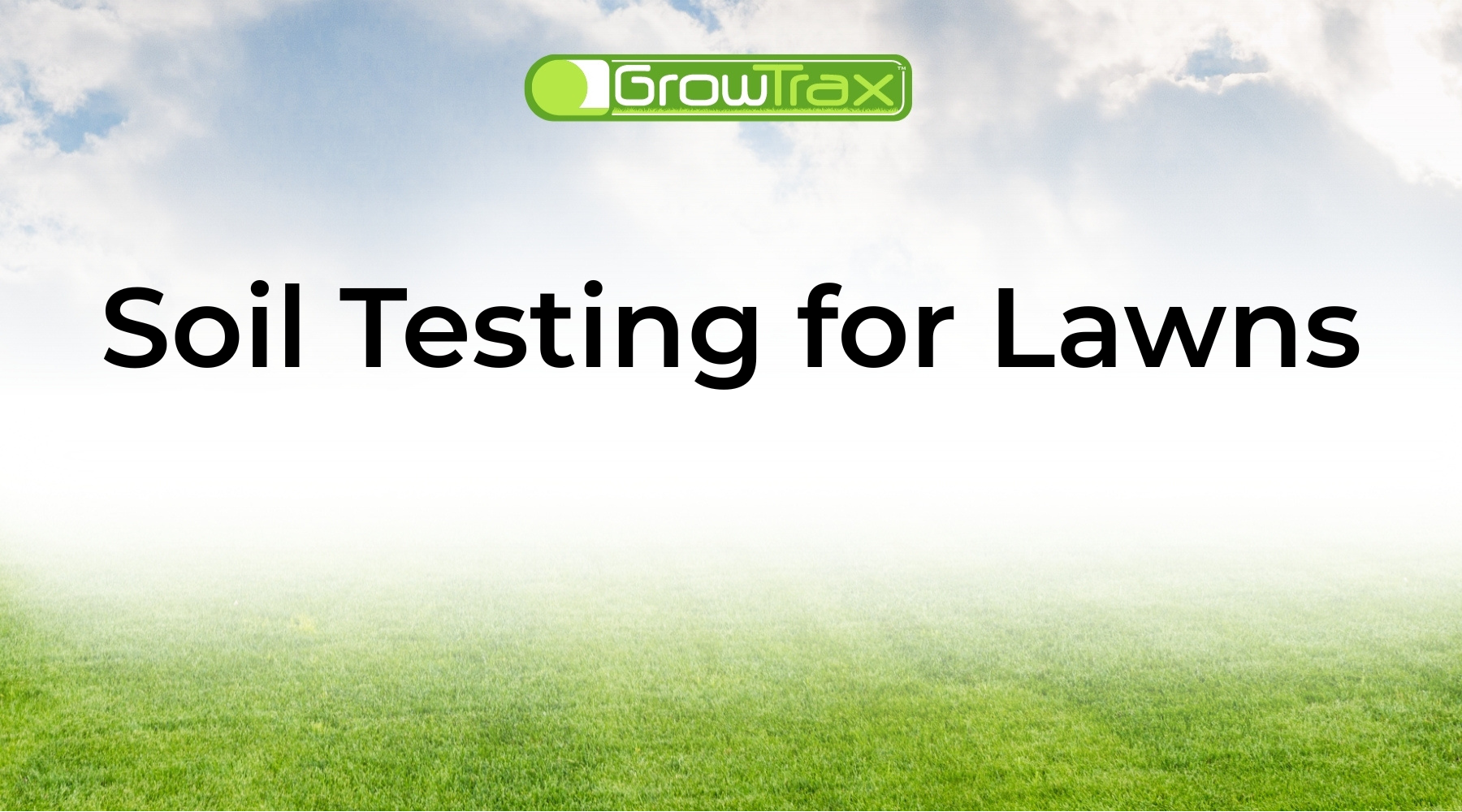 Soil Testing for Lawns: How to Test Soil pH and Grow Healthier Grass