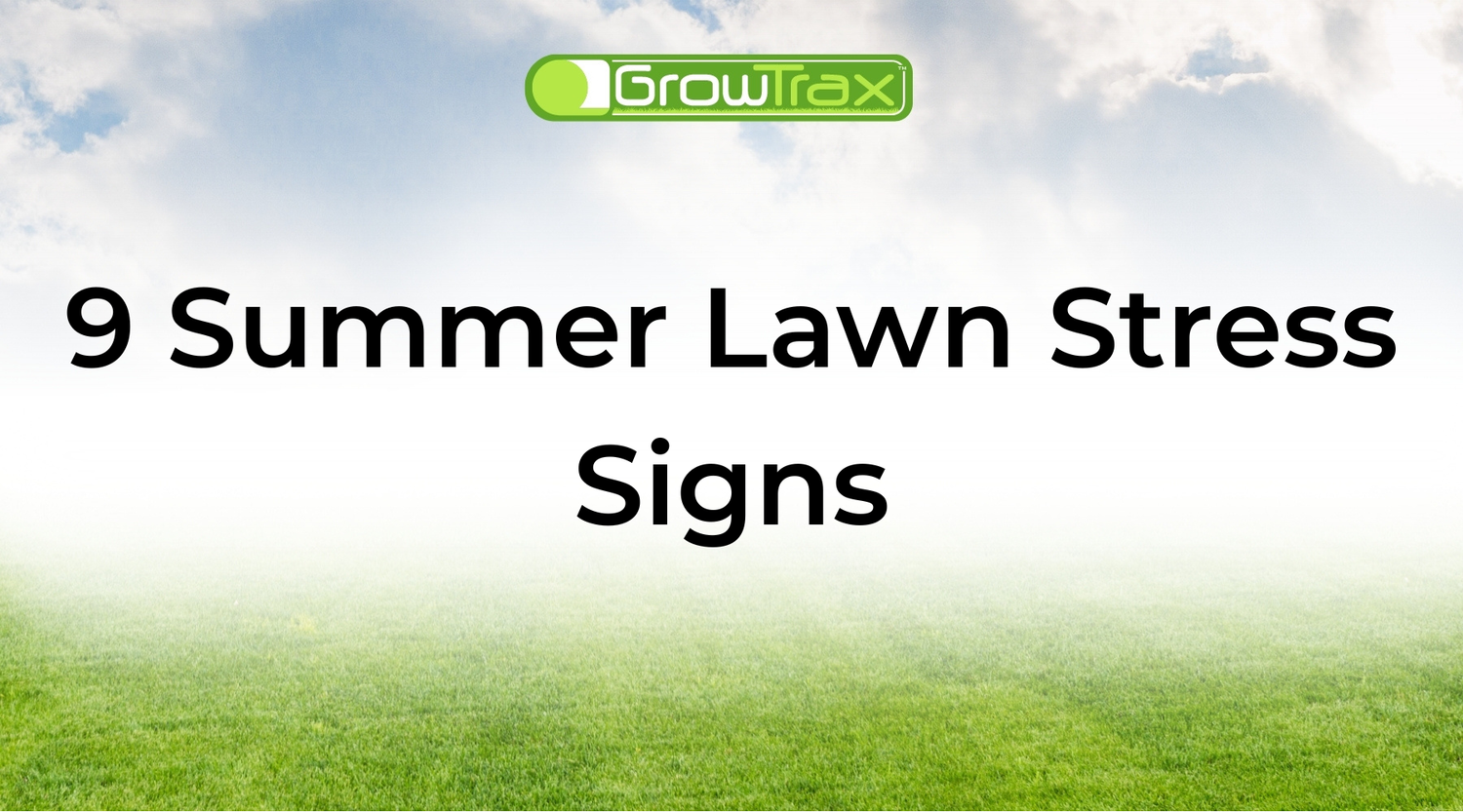 9 Summer Lawn Stress Signs You Shouldn’t Ignore
