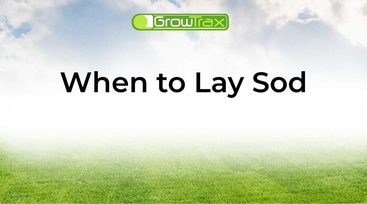 The Best Time to Plant Sod and How to Care for It Afterward