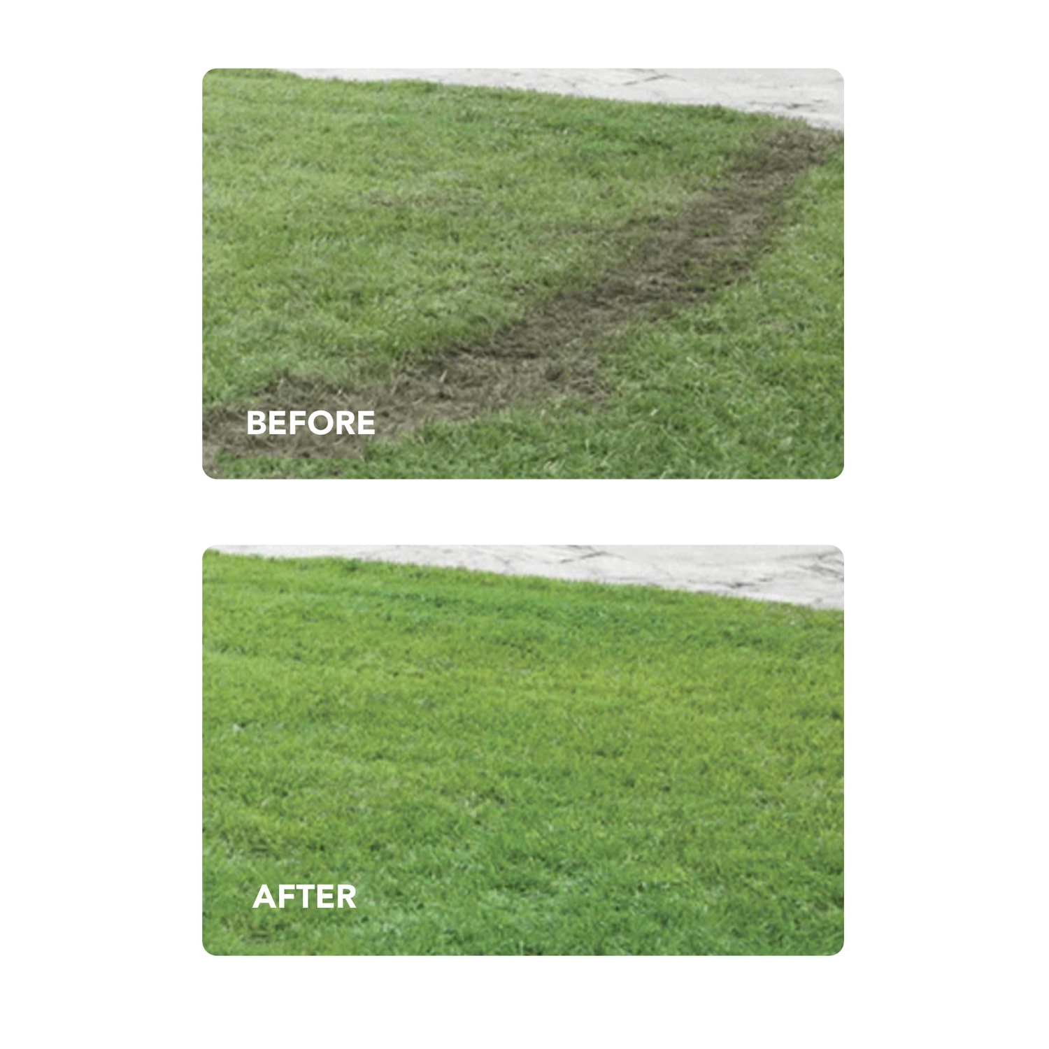 Lawn Repair Roll (50 sq ft roll)