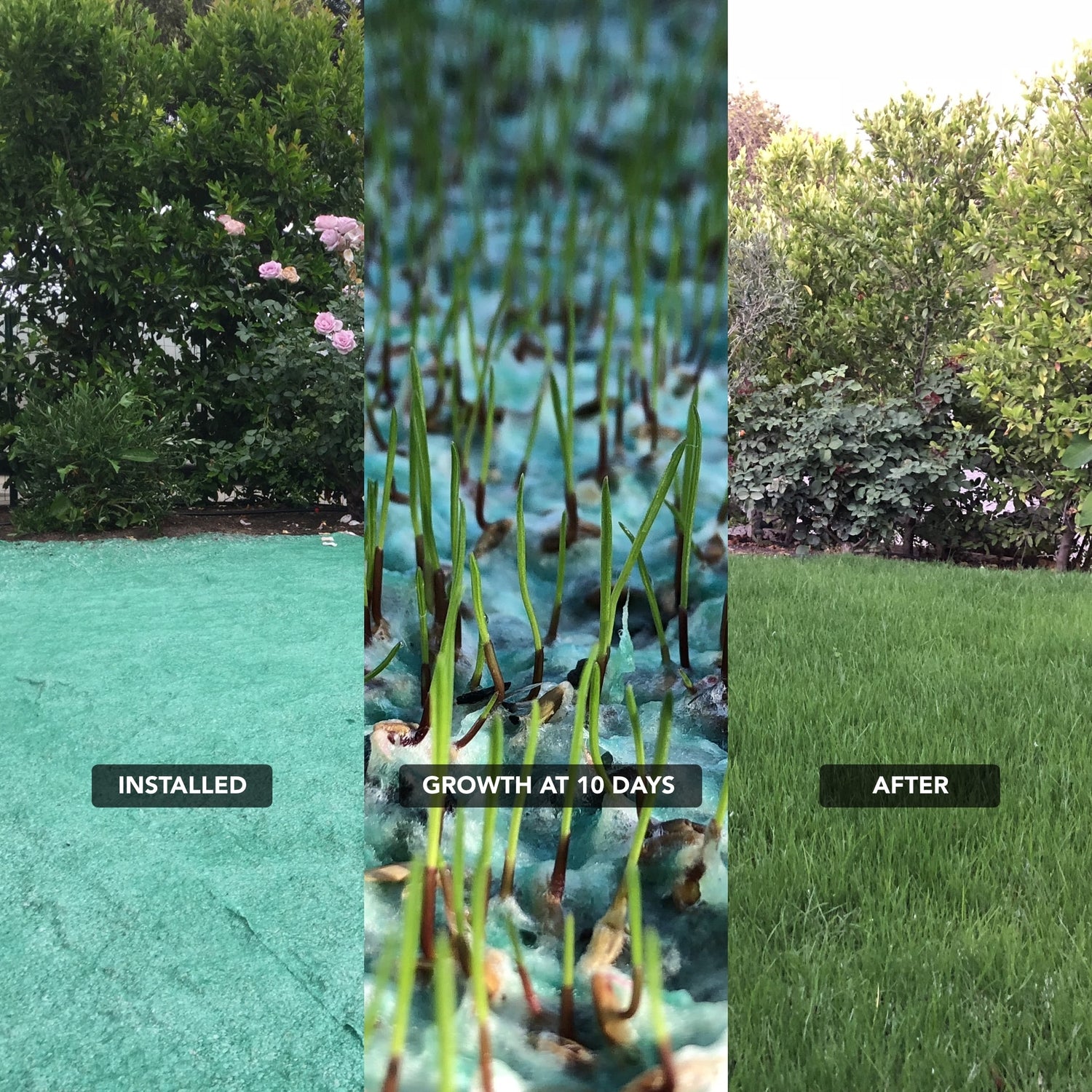 NU-Lawn Roll (200 sq ft roll)