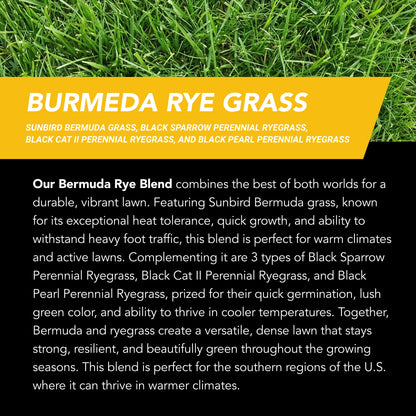 New Lawn (200 sq ft roll)