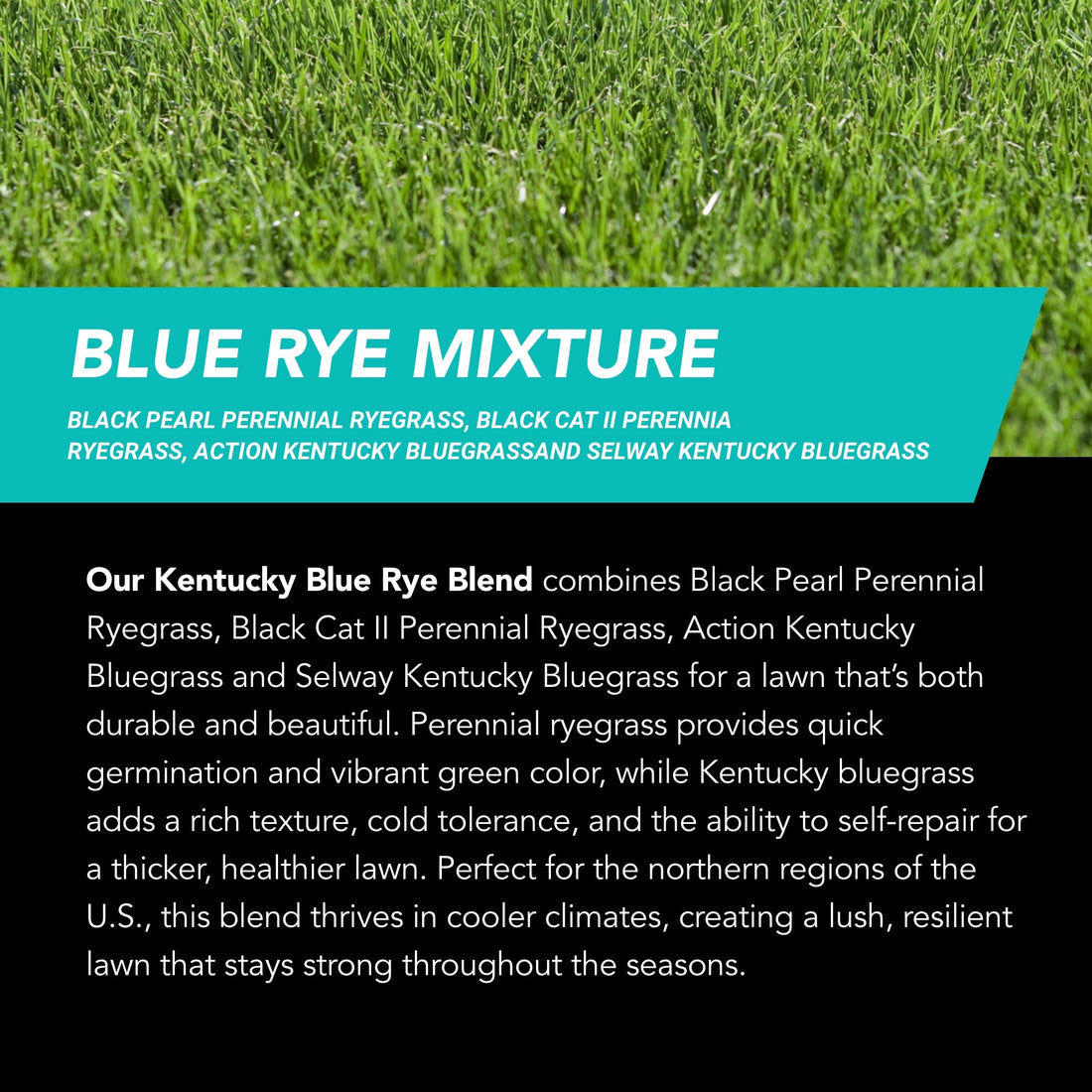 NU-Lawn Roll (200 sq ft roll)