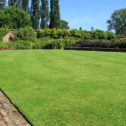 NU-Lawn Roll (200 sq ft roll)