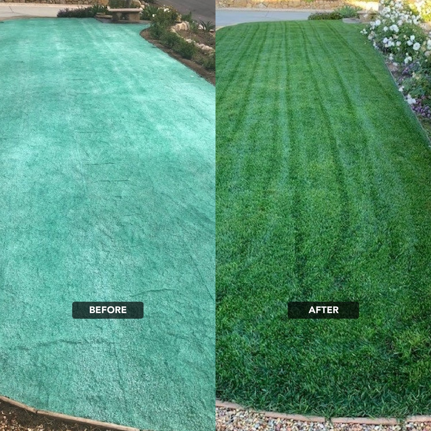should i roll after planting grass seed NU-Lawn Roll (200 sq ft roll) – GrowTrax Grass