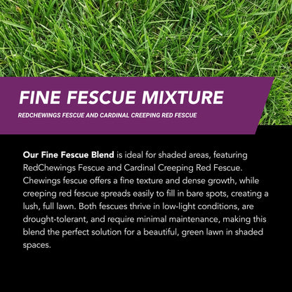 New Lawn (200 sq ft roll)