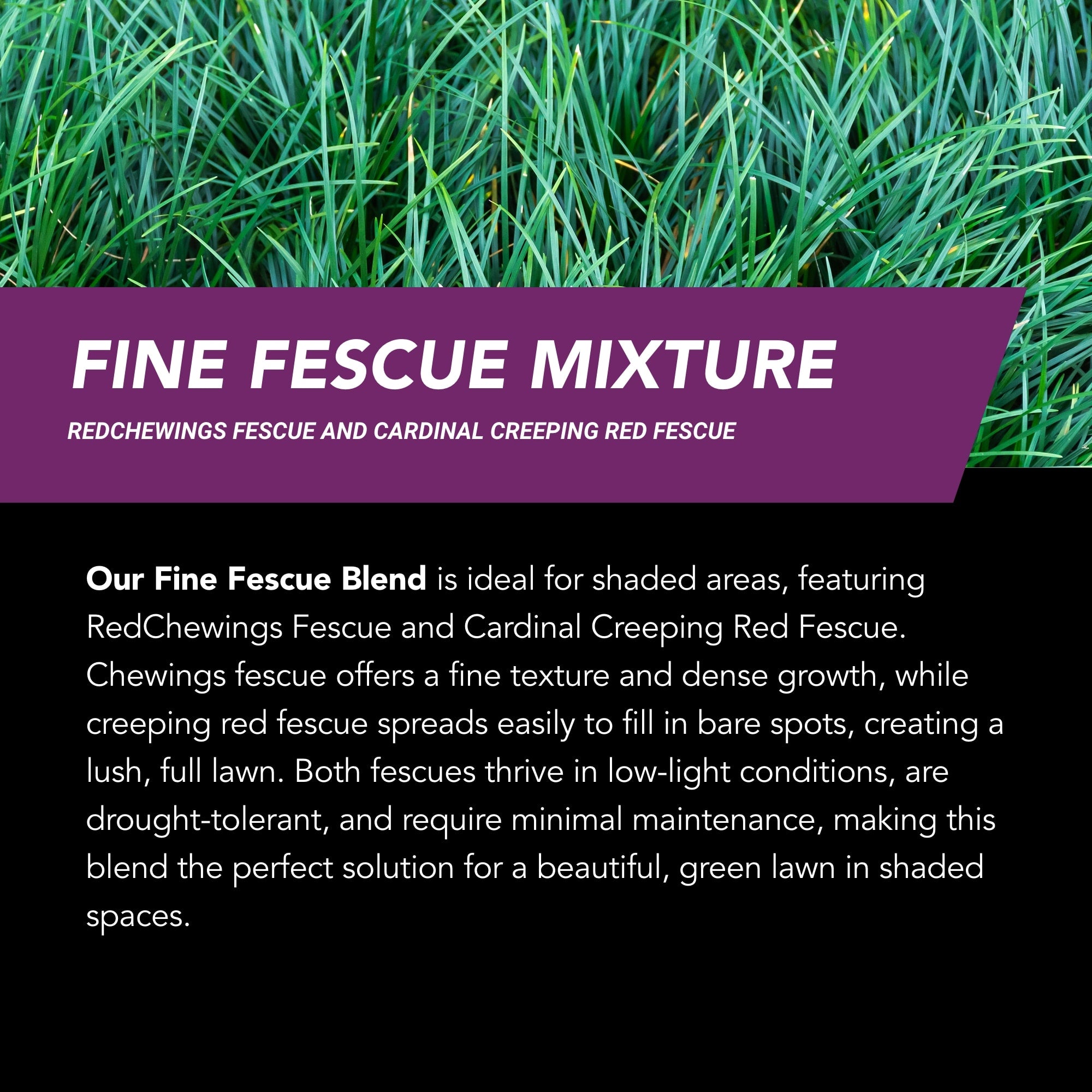 NU-Lawn Roll (200 sq ft roll)