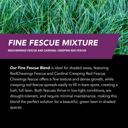 NU-Lawn Roll (200 sq ft roll)