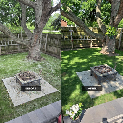 NU-Lawn Roll (200 sq ft roll)