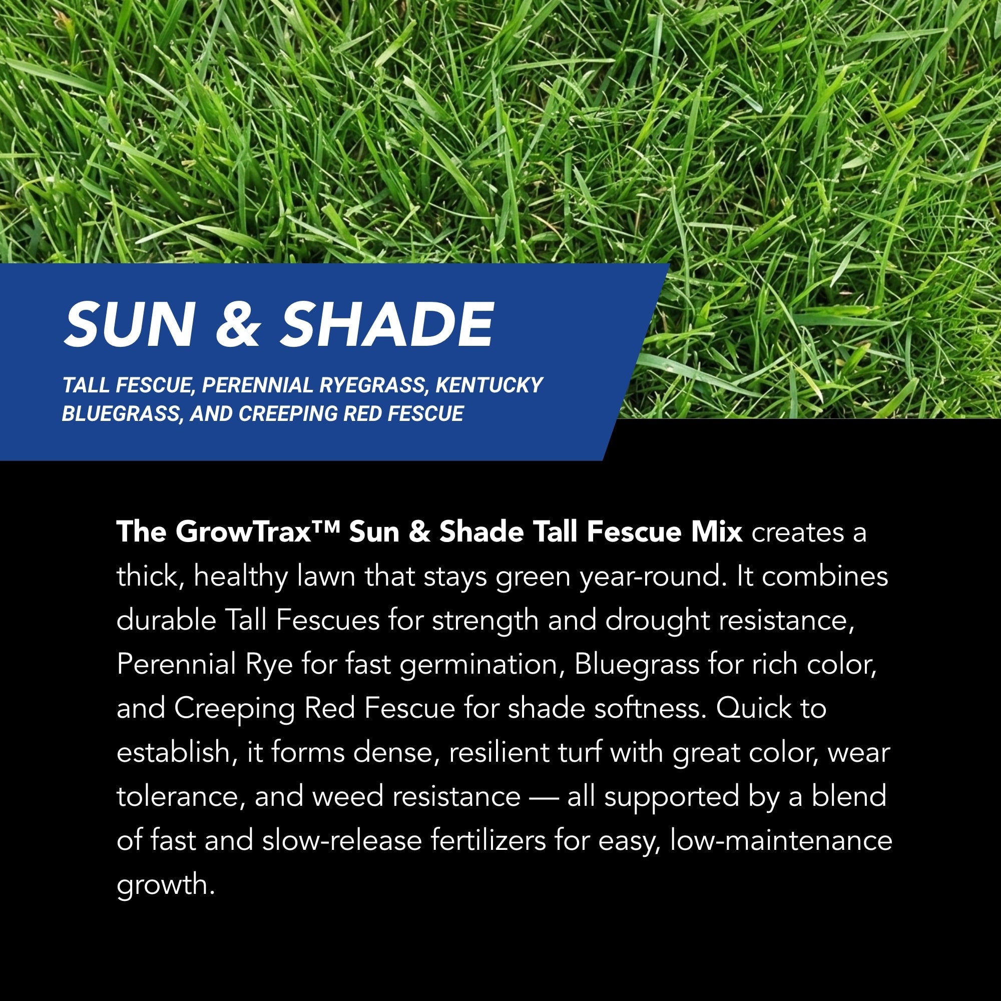 NU-Lawn Roll (200 sq ft roll)