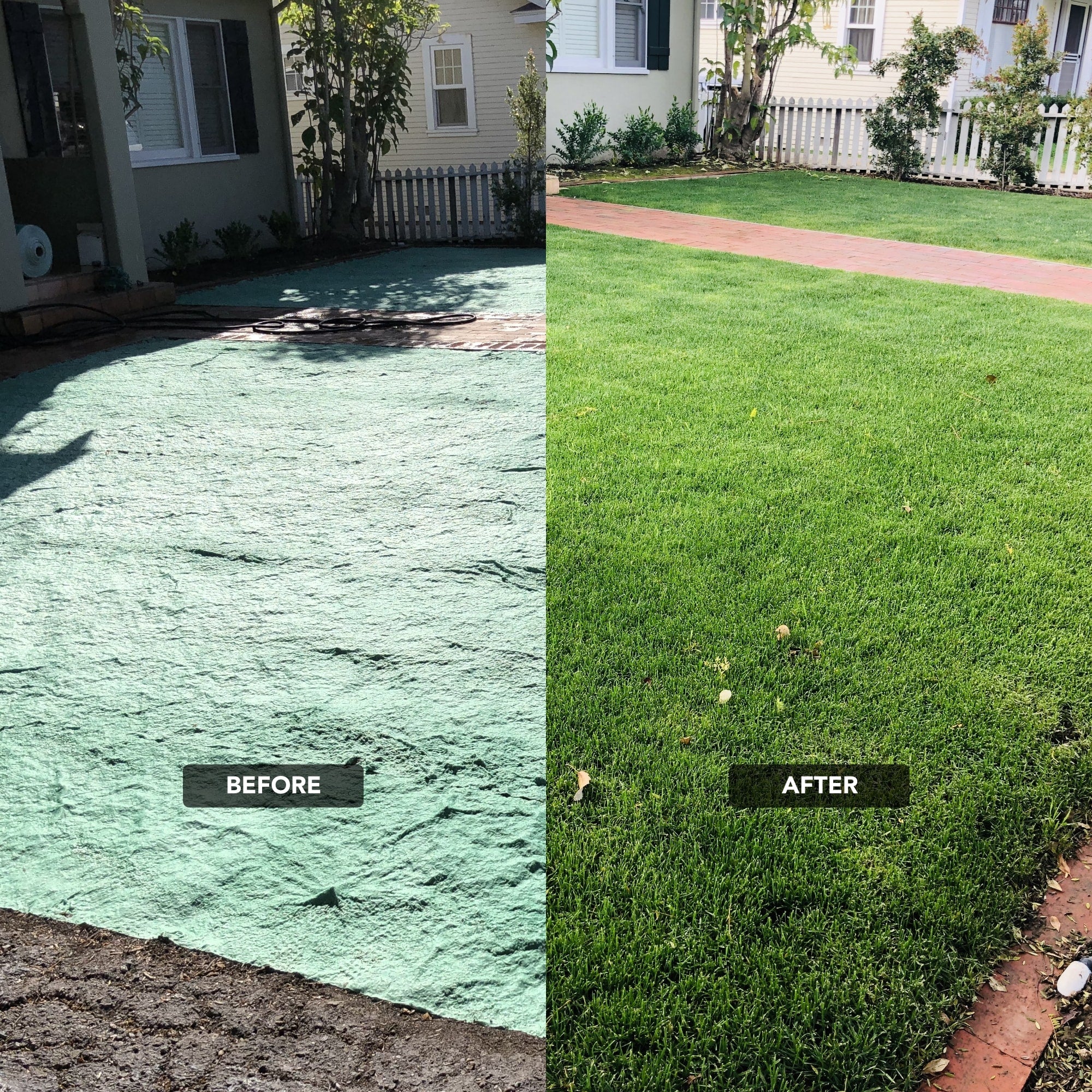 NU-Lawn Roll (200 sq ft roll)