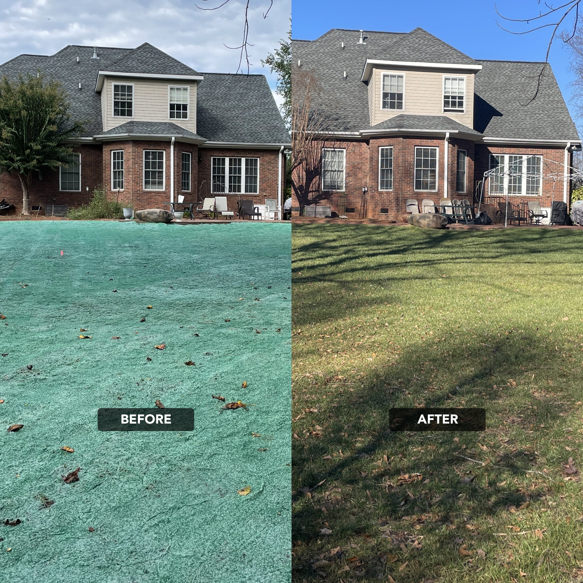 NU-Lawn Roll (200 sq ft roll)