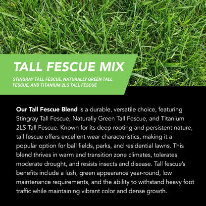 New Lawn (200 sq ft roll)