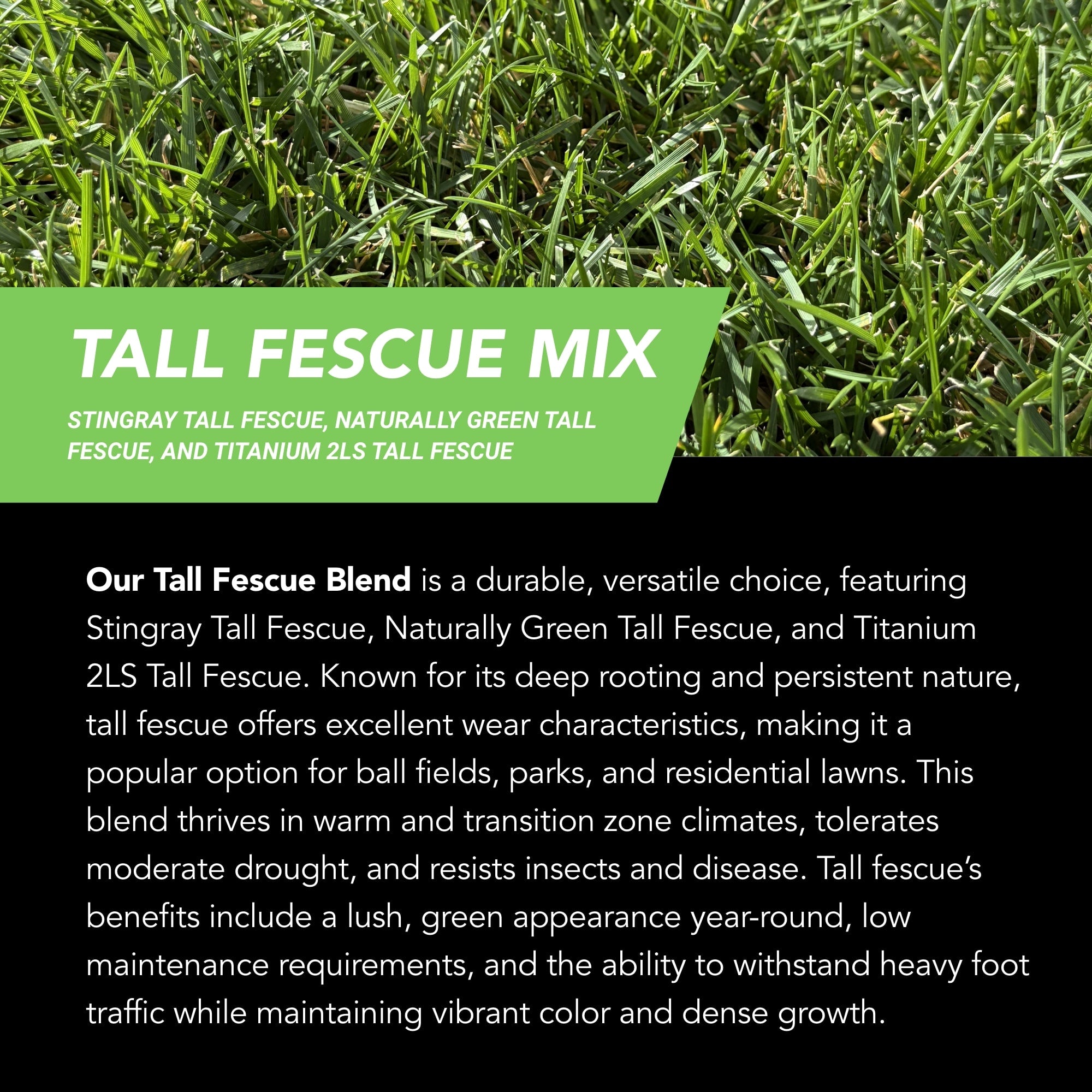 NU-Lawn Roll (200 sq ft roll)