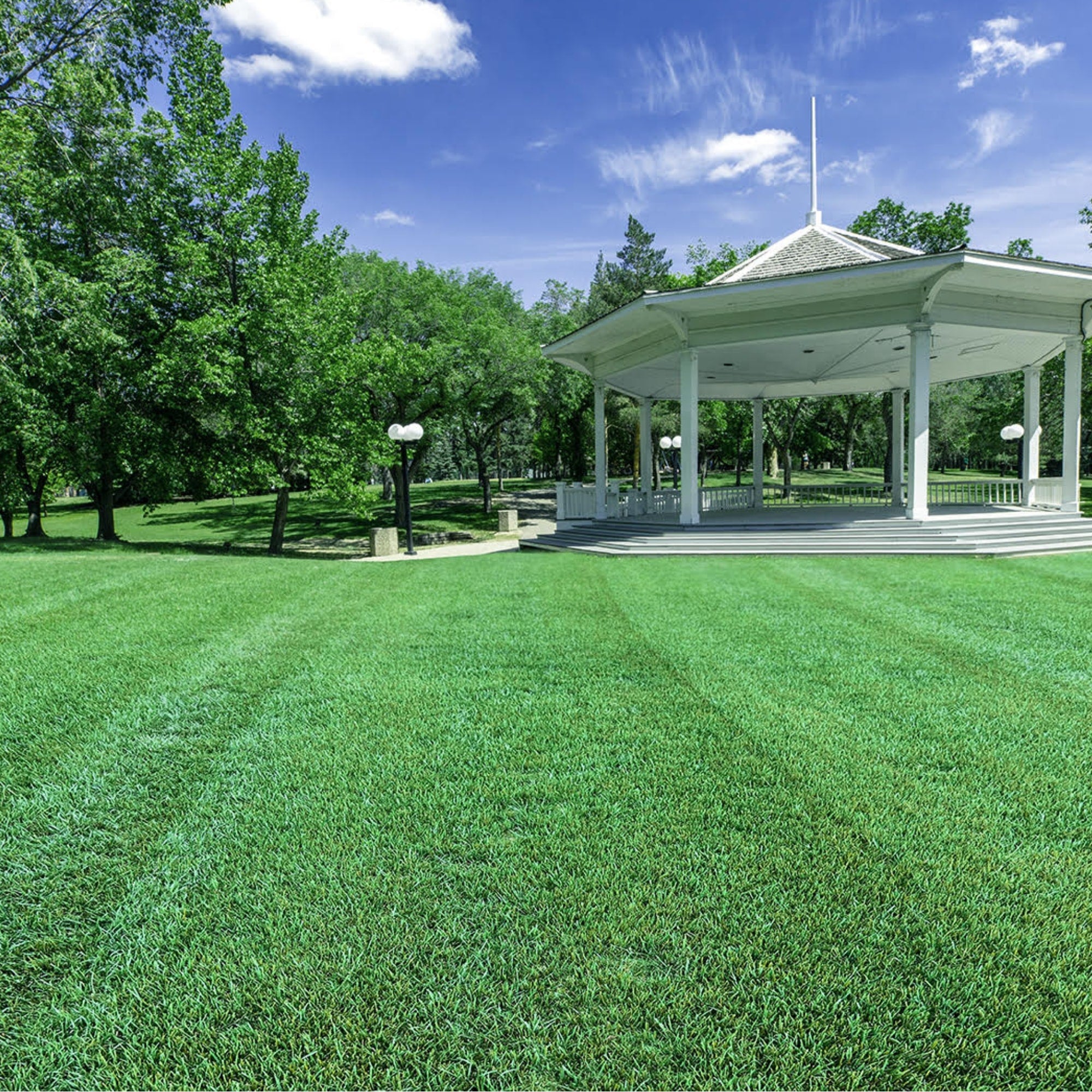 NU-Lawn Roll (200 sq ft roll)